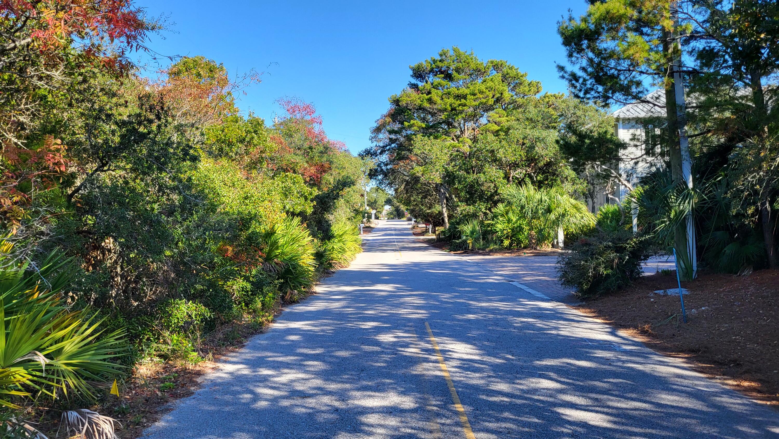 0 Walton Rose Lane Inlet Beach FL 32461