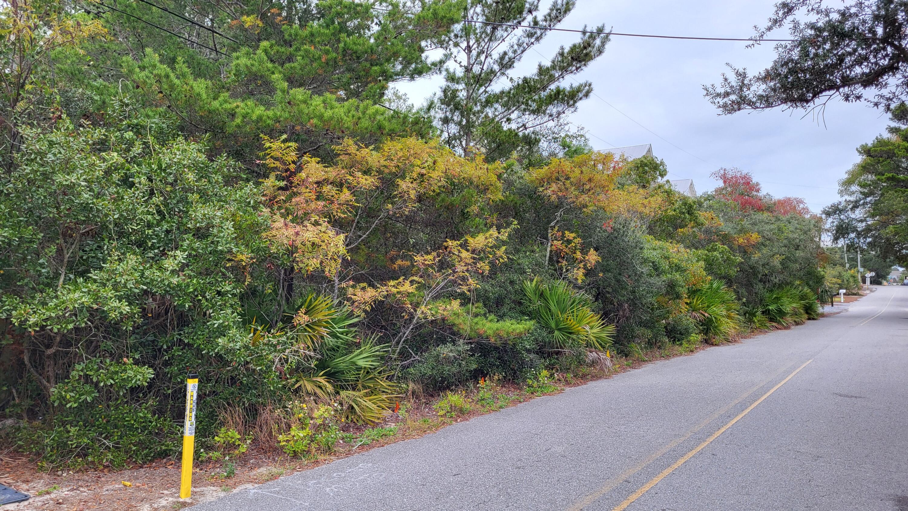0 Walton Rose Lane Inlet Beach FL 32461
