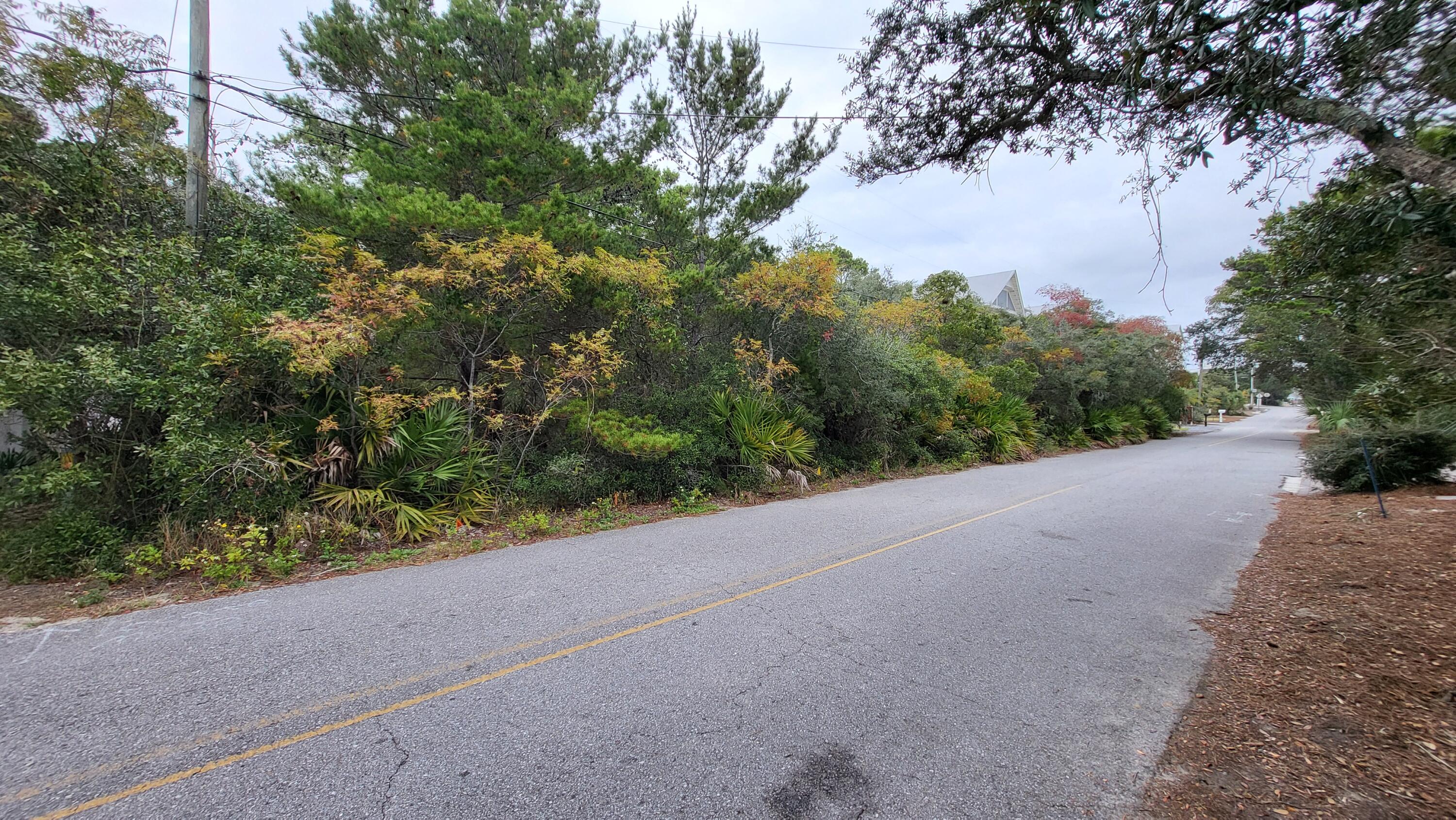 0 Walton Rose Lane Inlet Beach FL 32461