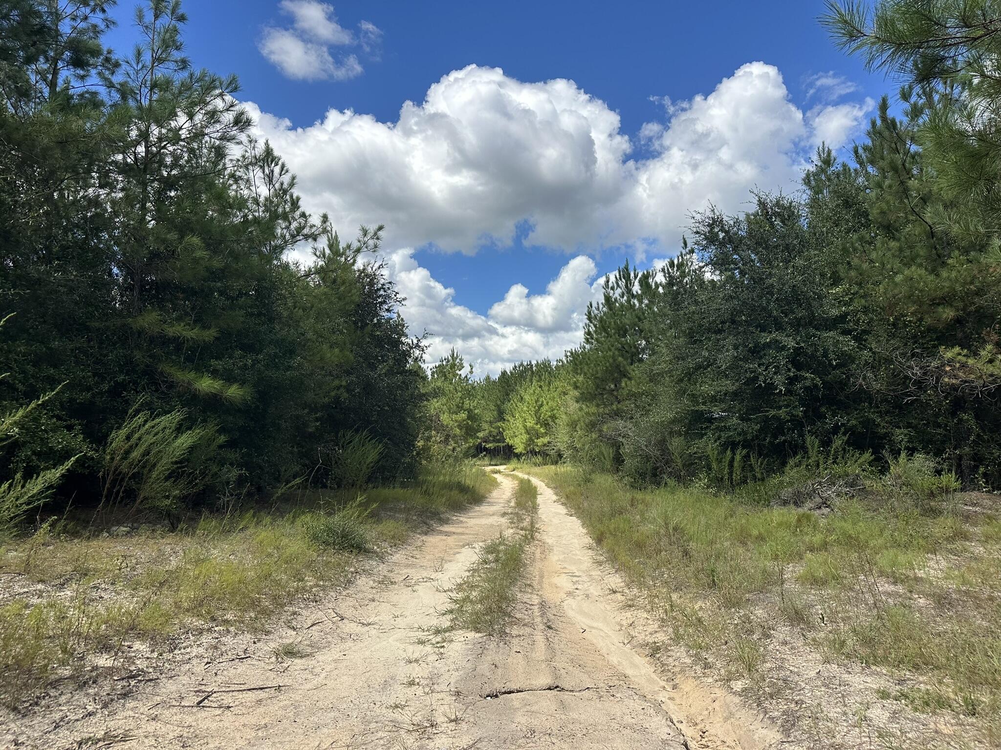 TRACT#6418 N Mattox Springs Road Caryville FL 32427