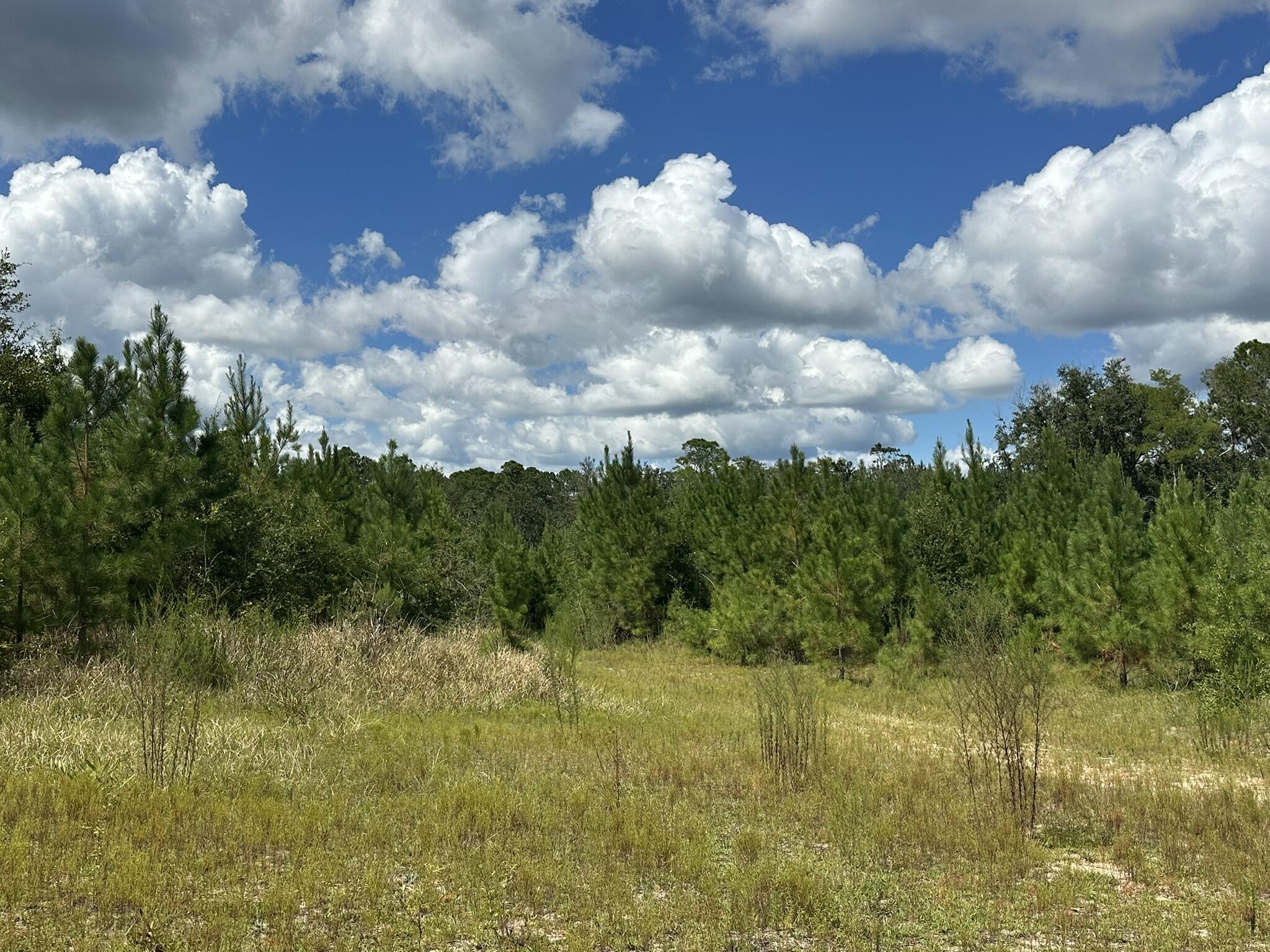TRACT#6418 N Mattox Springs Road Caryville FL 32427