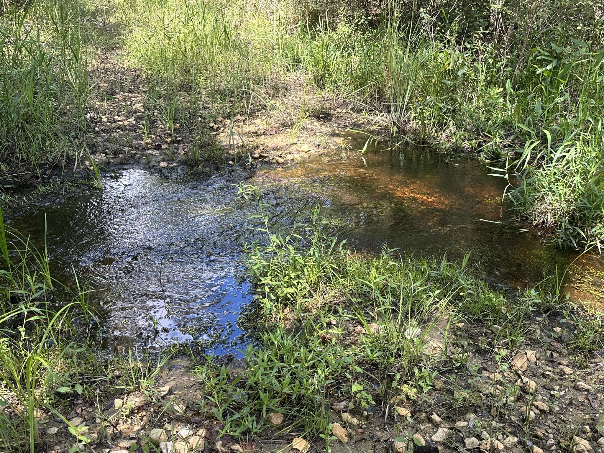 TRACT#6418 N Mattox Springs Road Caryville FL 32427