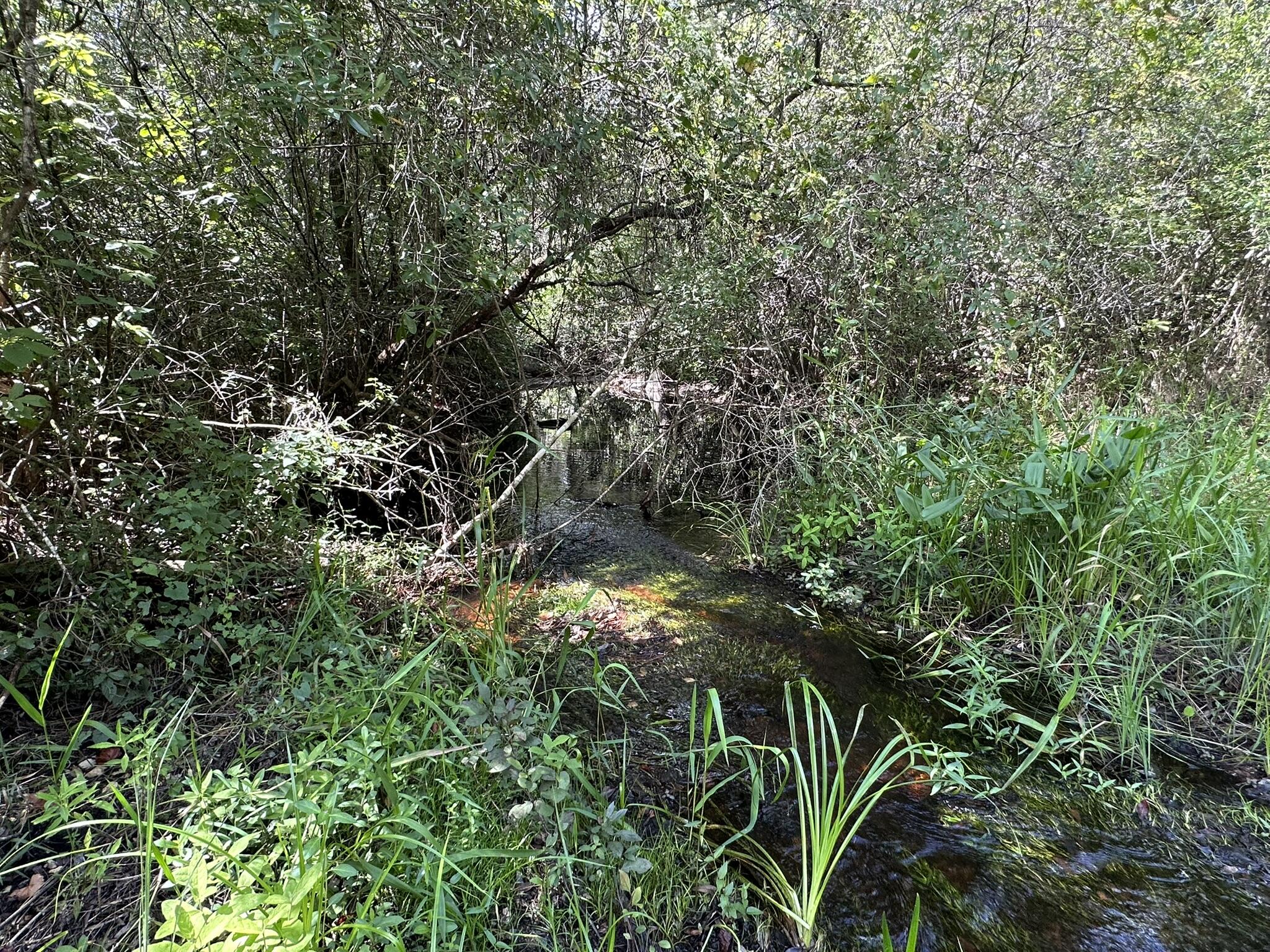 TRACT#6418 N Mattox Springs Road Caryville FL 32427
