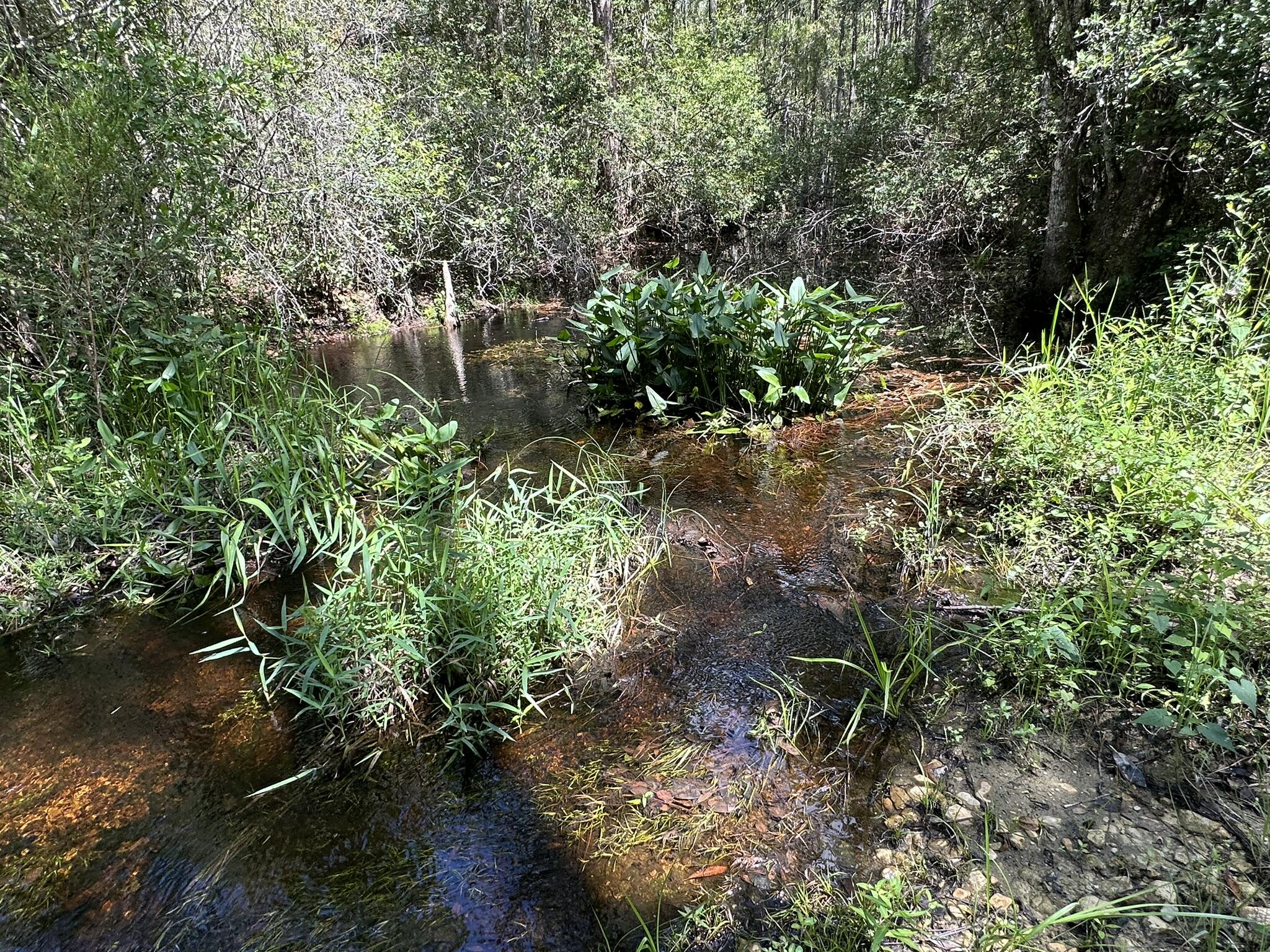 TRACT#6418 N Mattox Springs Road Caryville FL 32427