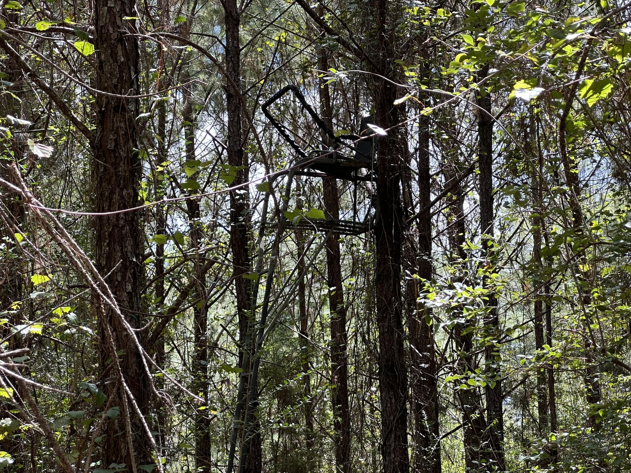 TRACT#6418 N Mattox Springs Road Caryville FL 32427