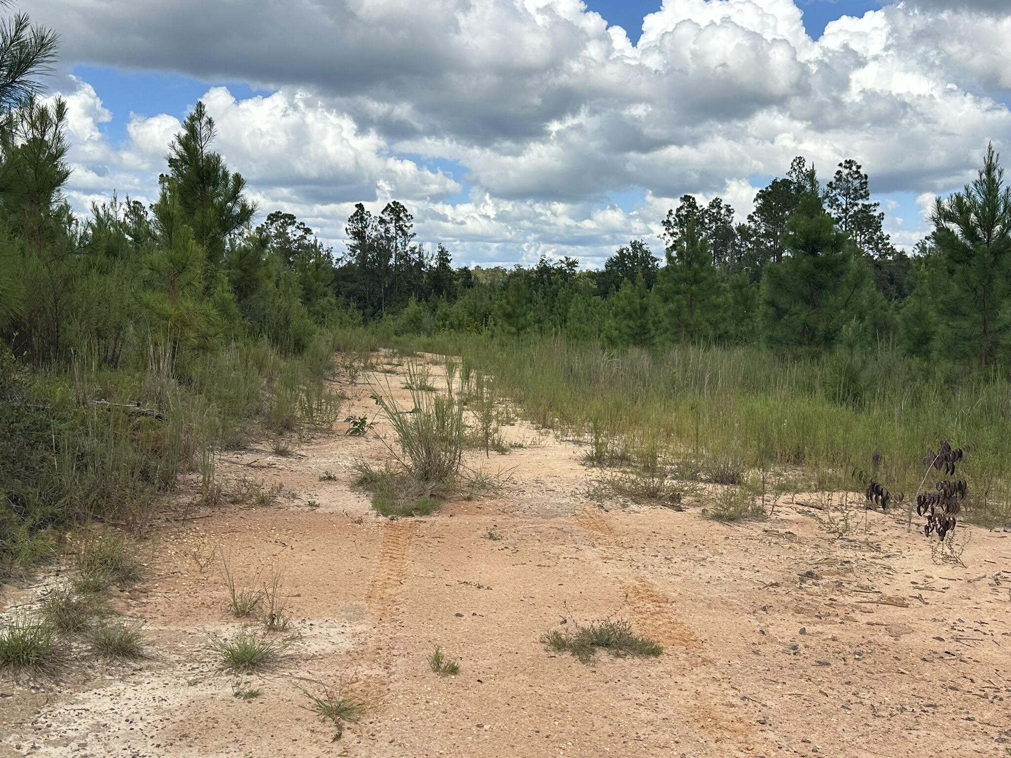 TRACT#6418 N Mattox Springs Road Caryville FL 32427