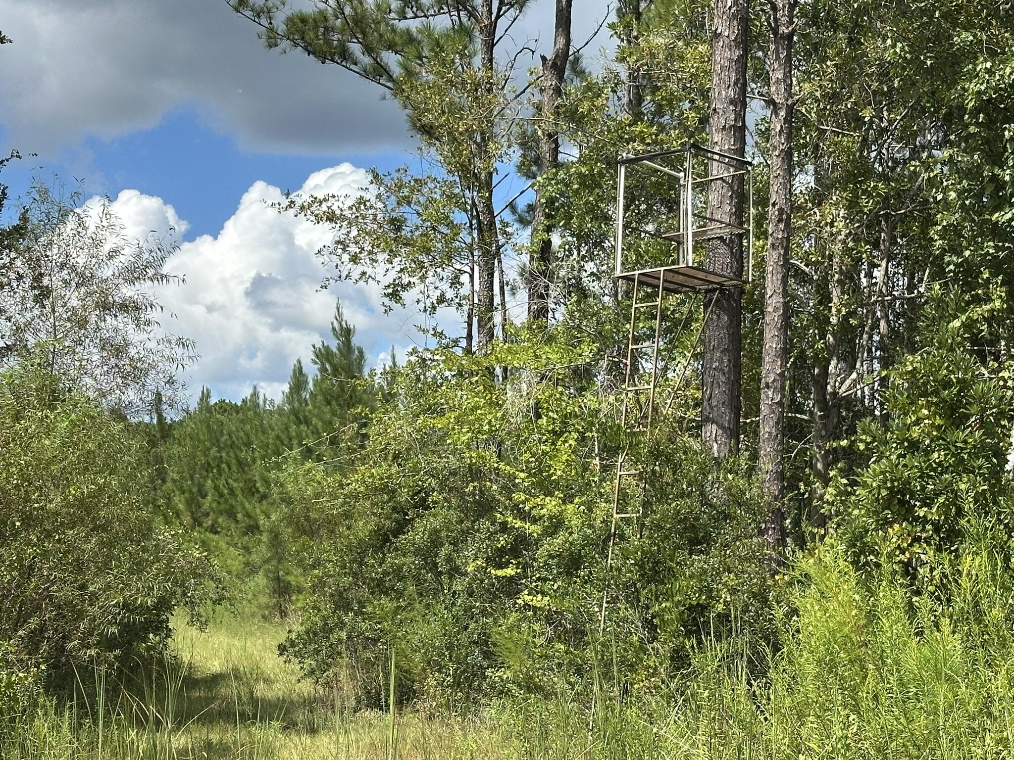 TRACT#6418 N Mattox Springs Road Caryville FL 32427