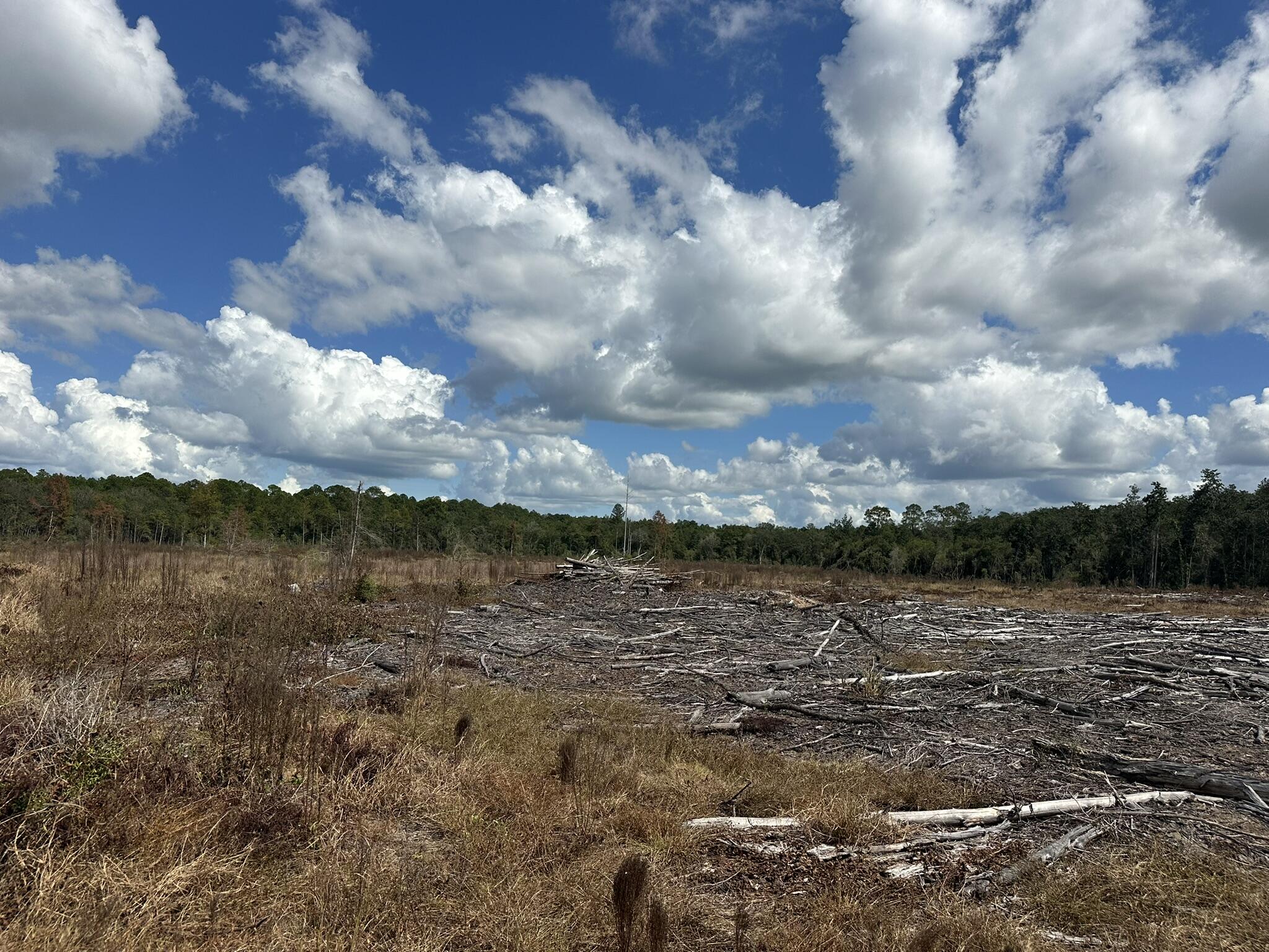 TRACT#6418 N Mattox Springs Road Caryville FL 32427