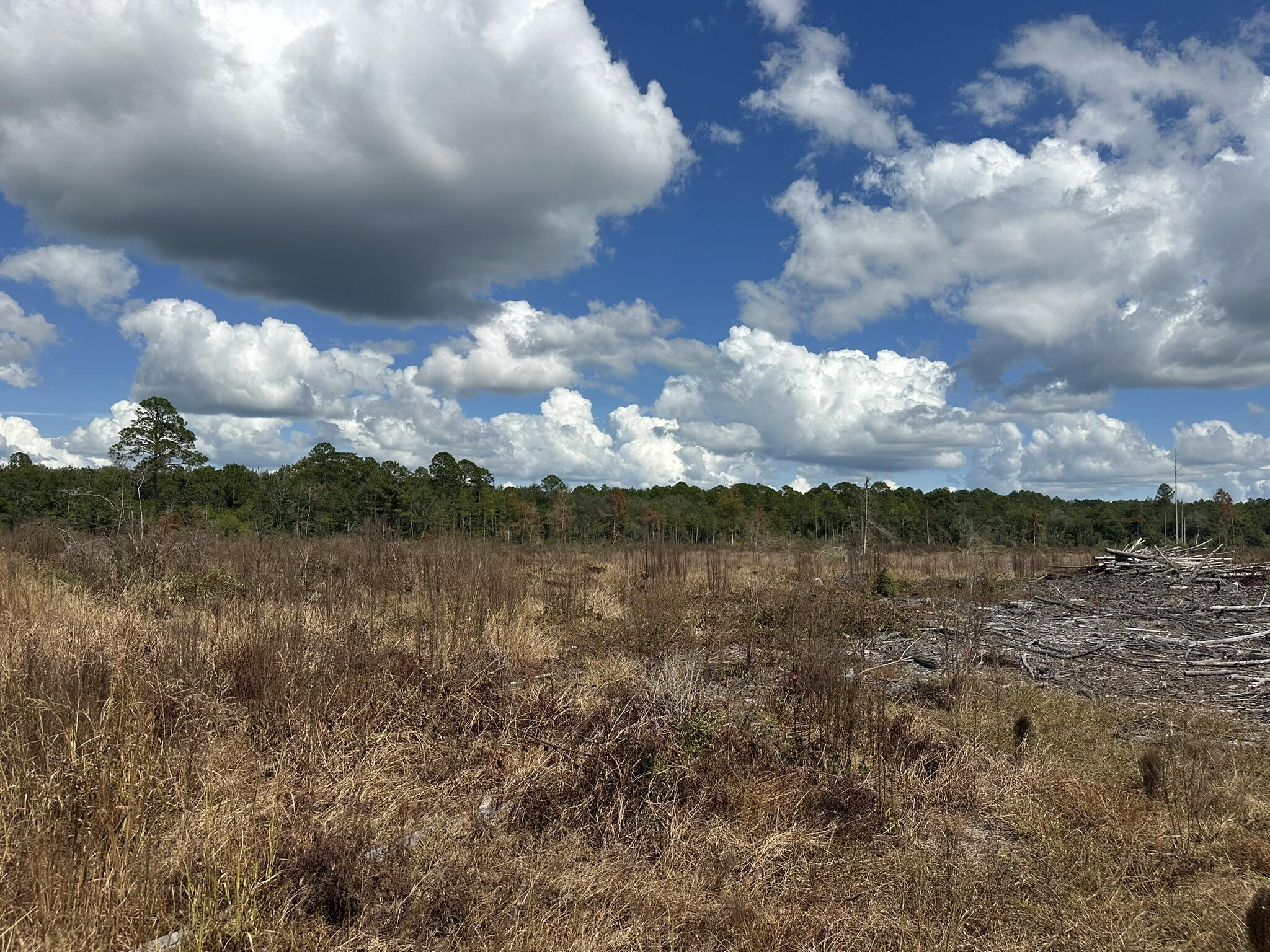 TRACT#6418 N Mattox Springs Road Caryville FL 32427