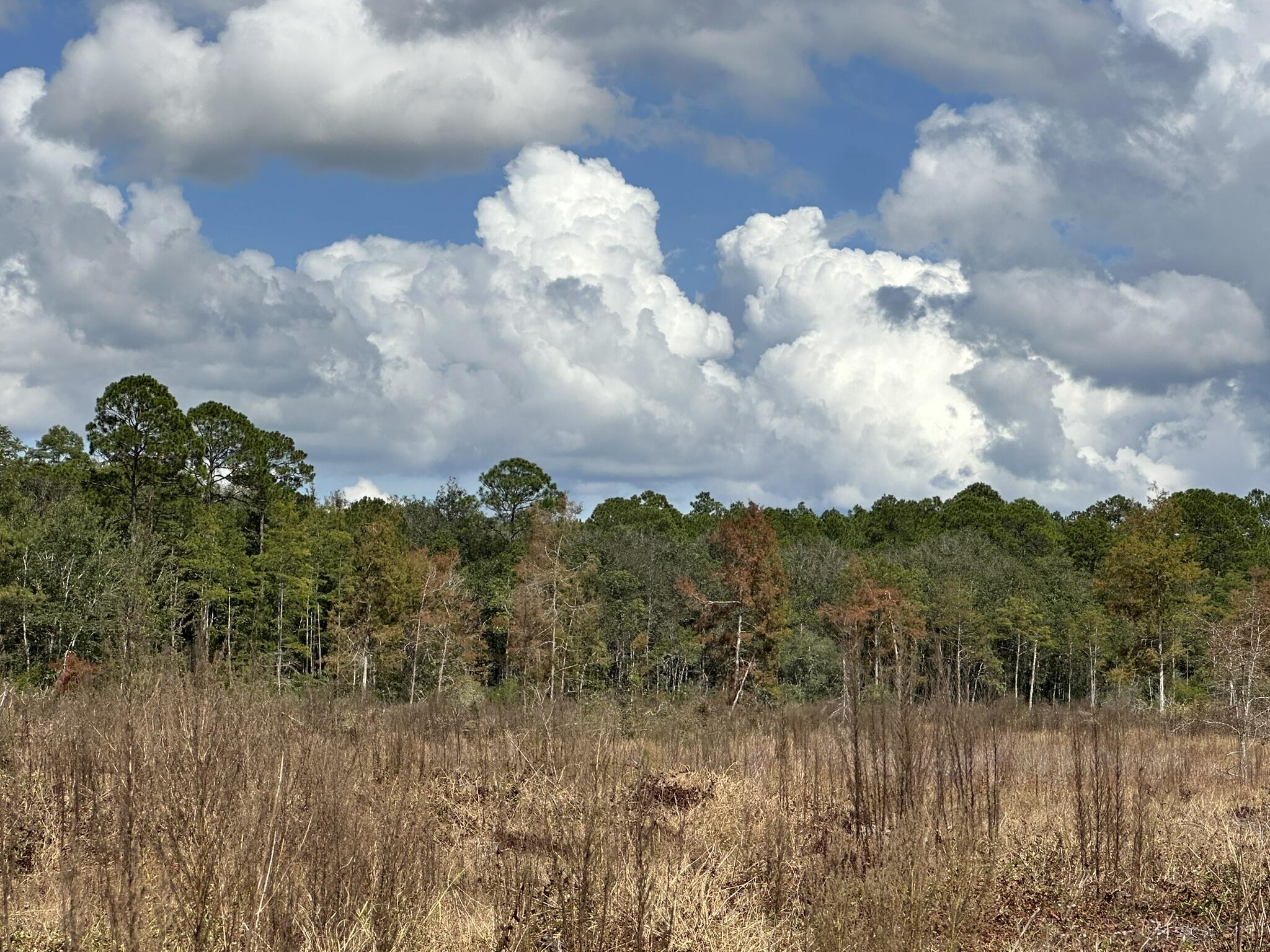 TRACT#6418 N Mattox Springs Road Caryville FL 32427