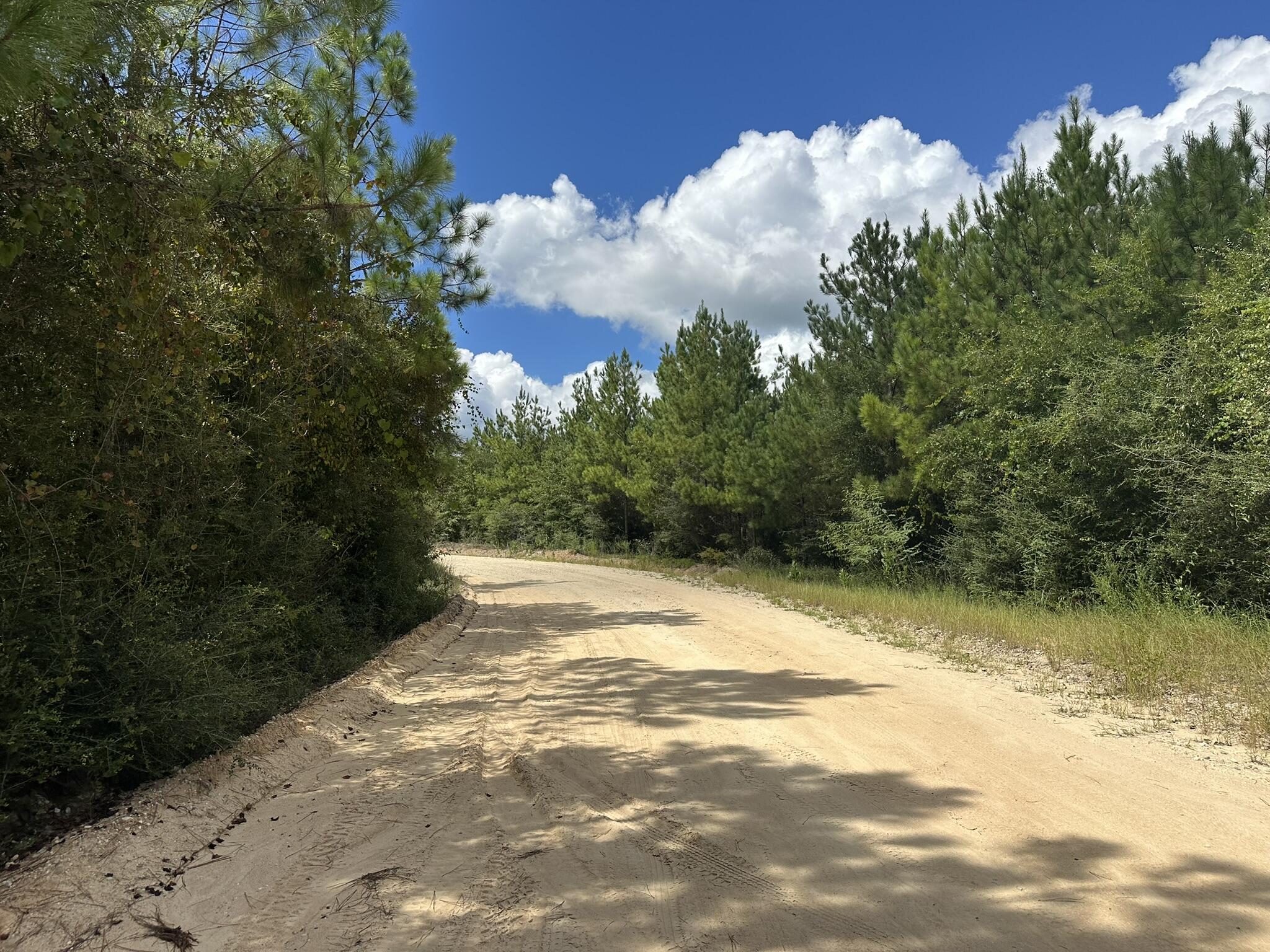 TRACT#6418 N Mattox Springs Road Caryville FL 32427
