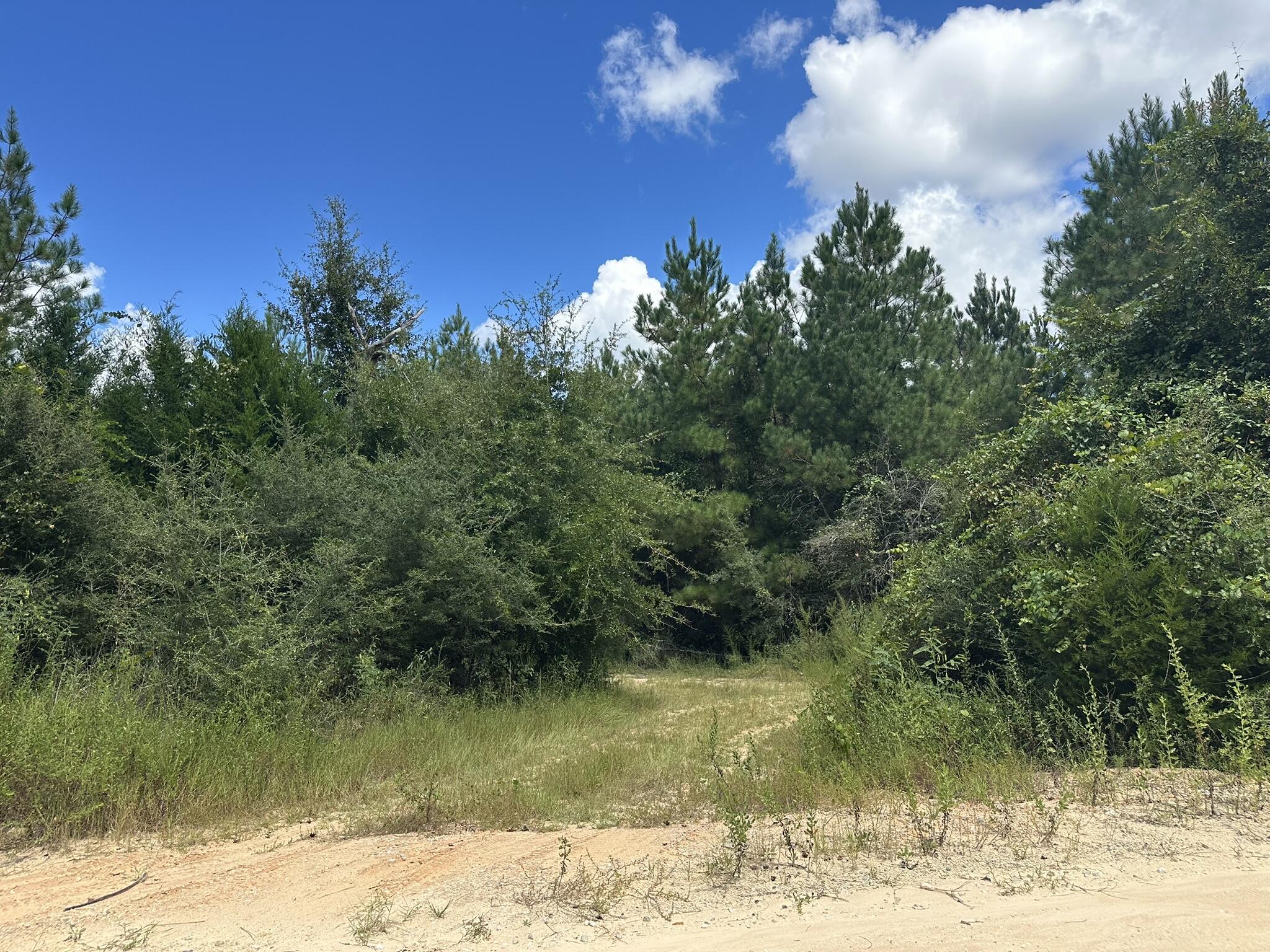 TRACT#6418 N Mattox Springs Road Caryville FL 32427