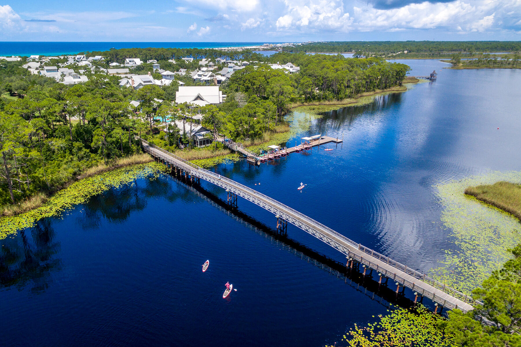 40 String Lily Cove Santa Rosa Beach FL 32459