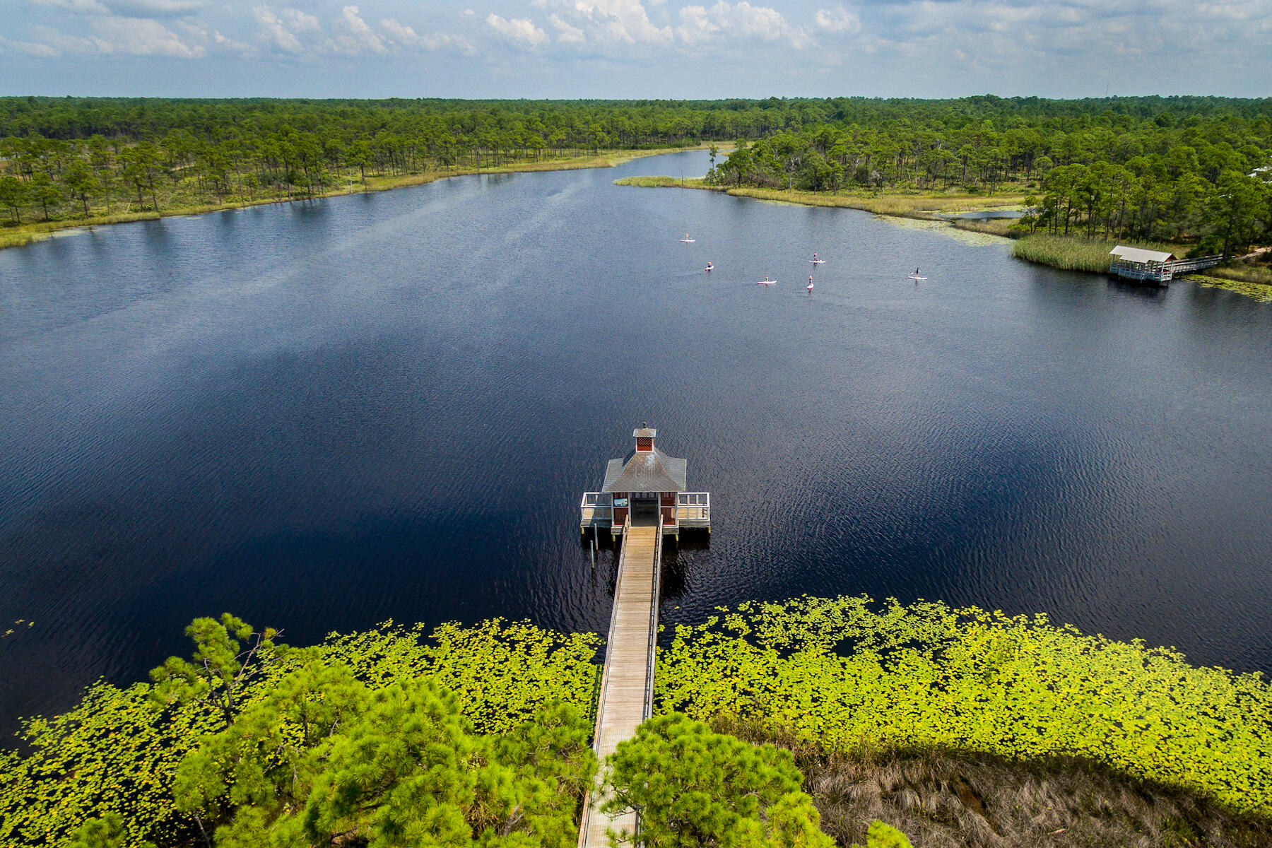 40 String Lily Cove Santa Rosa Beach FL 32459