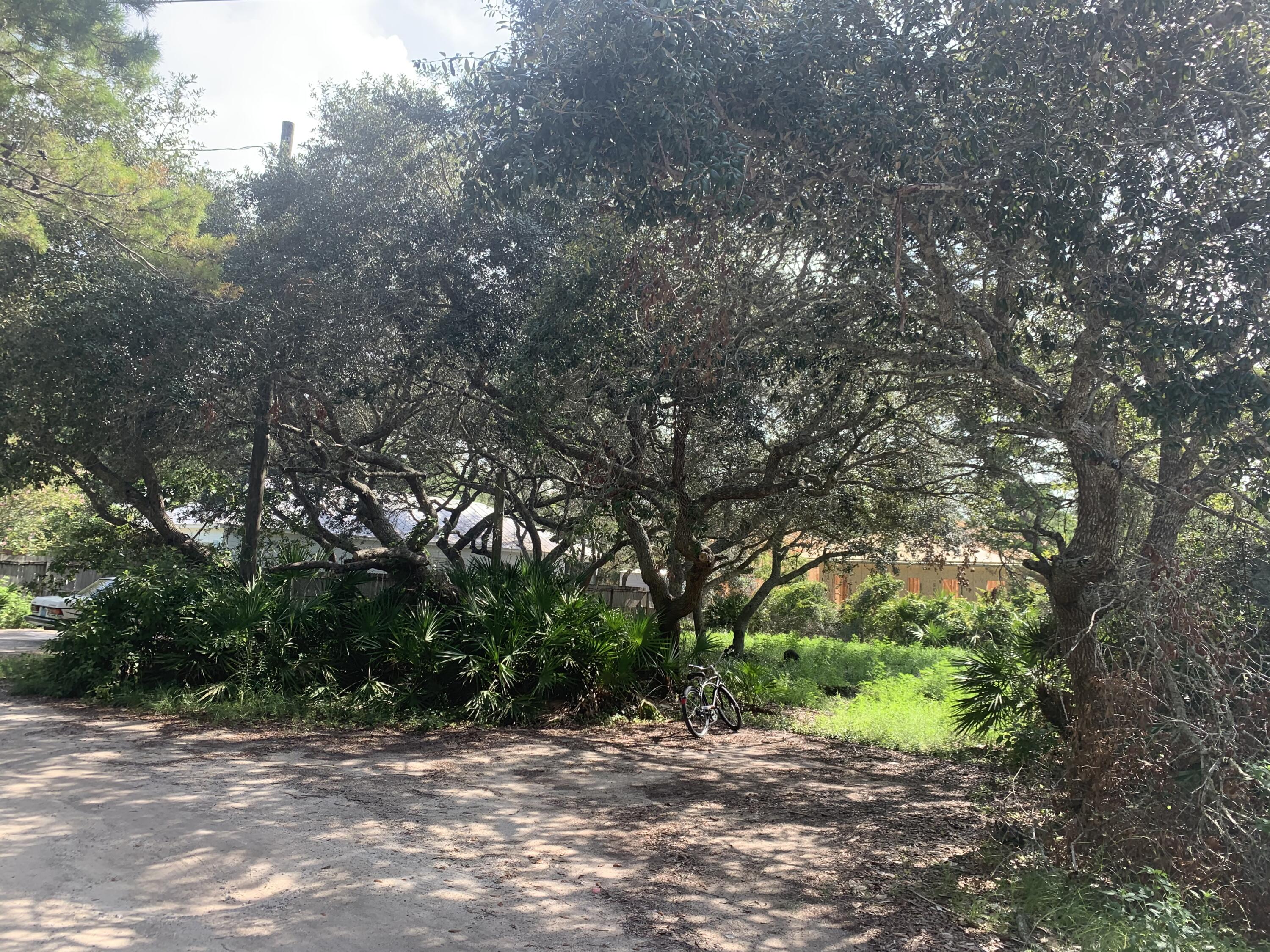 59 Williams Street Santa Rosa Beach FL 32459