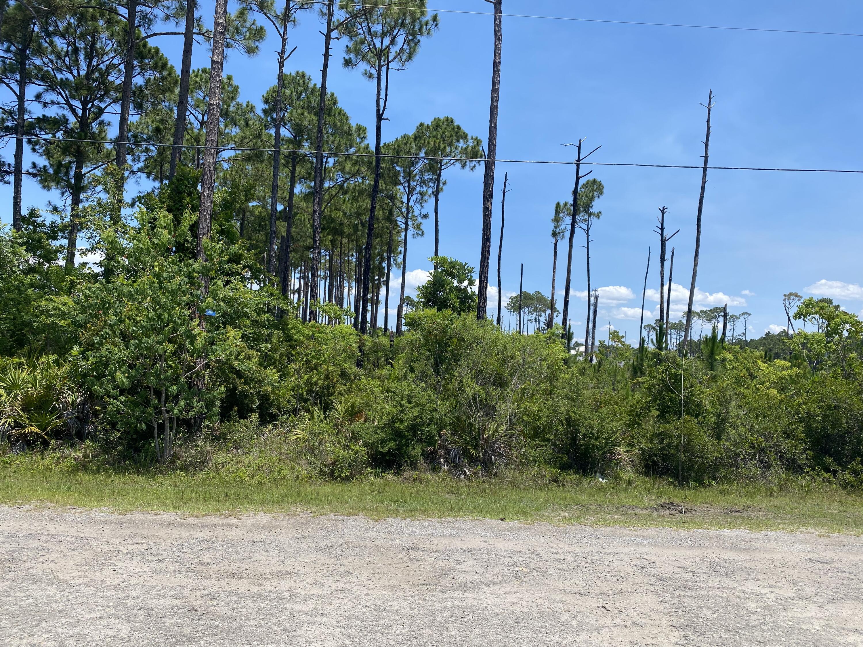 Lot 3 Delbert Lane Santa Rosa Beach FL 32459