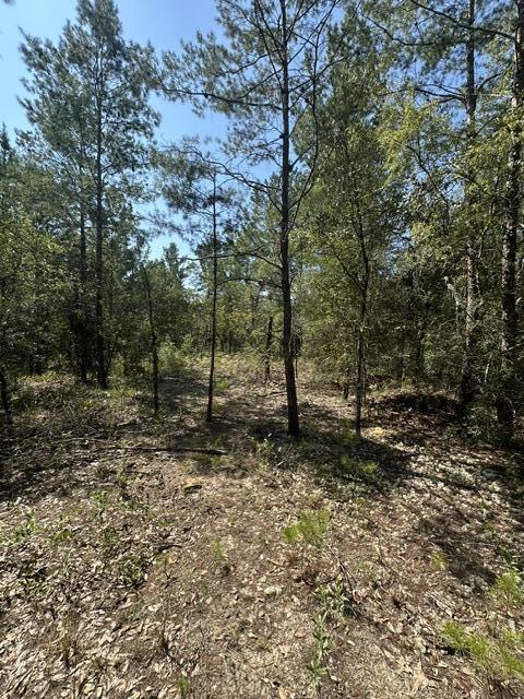 Lot 4 & 5 E Buckeye Street Defuniak Springs FL 32433