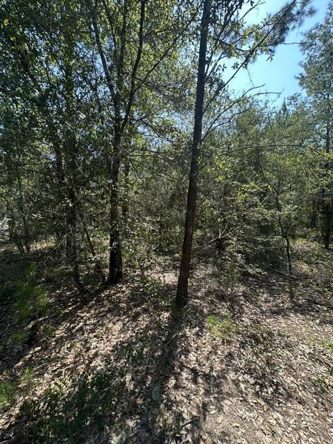 Lot 4 & 5 E Buckeye Street Defuniak Springs FL 32433