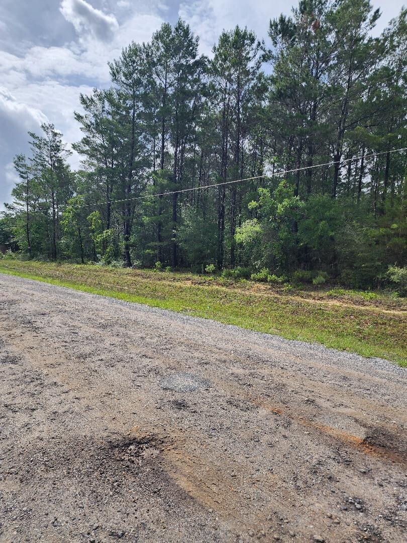 00 E Primrose East Avenue Defuniak Springs FL 32433