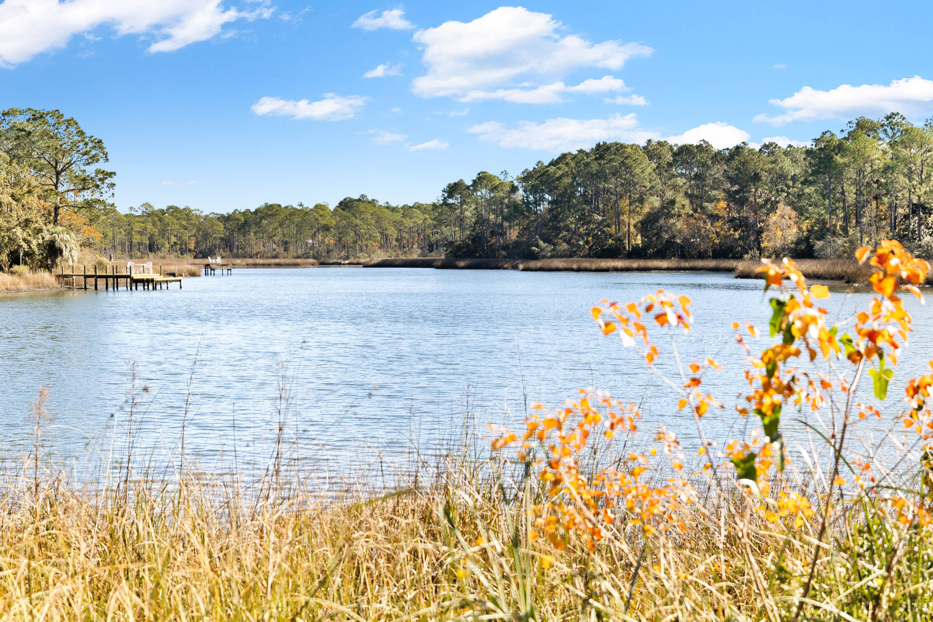 43 Hogtown Bayou Lane Santa Rosa Beach FL 32459