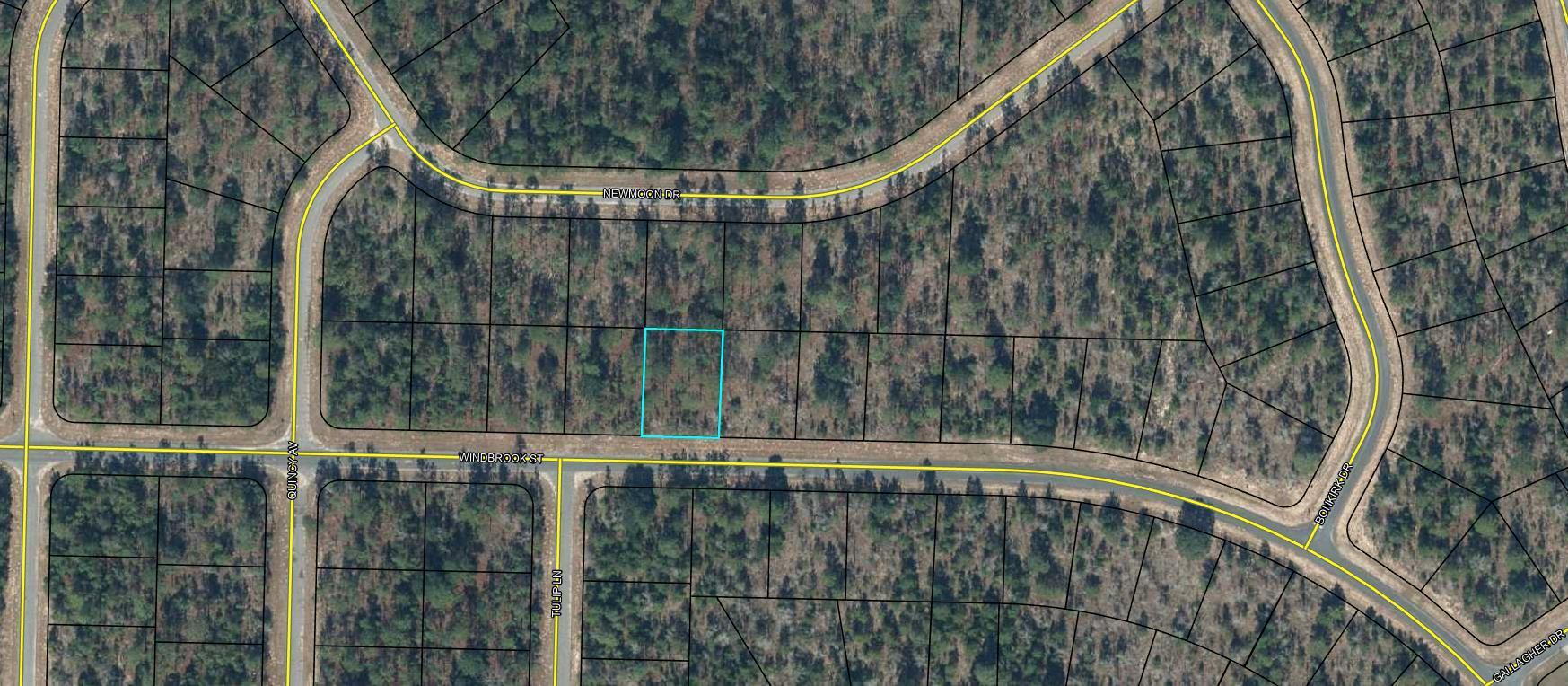 Lot 12 Windbrook Street Chipley FL 32428
