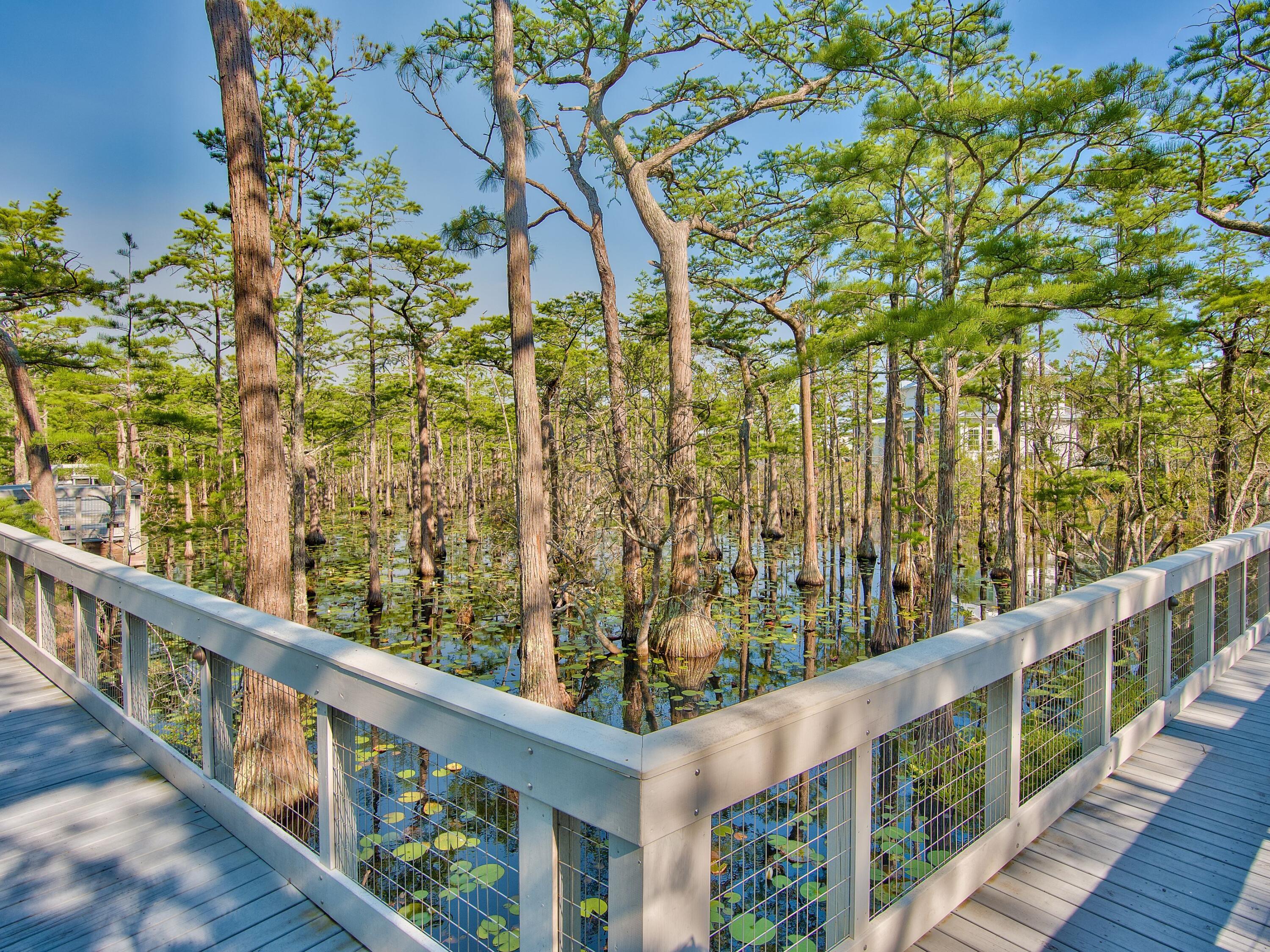 Lot 16 Cypress Drive Santa Rosa Beach FL 32459