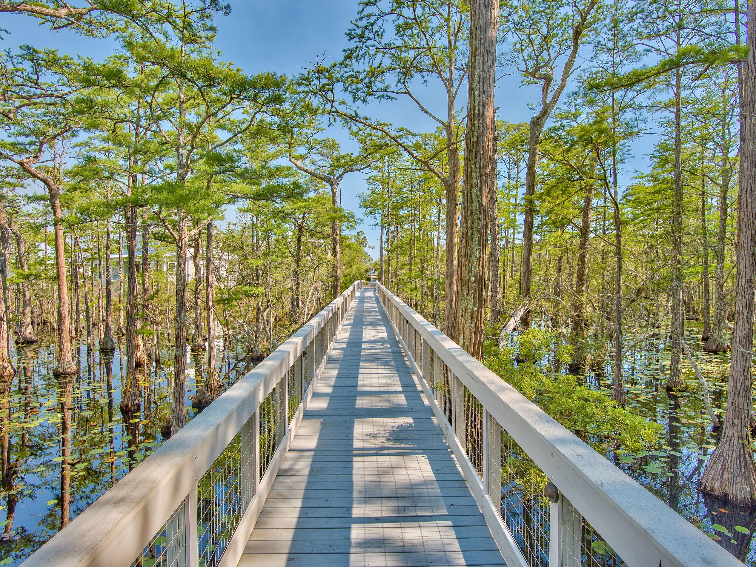 Lot 16 Cypress Drive Santa Rosa Beach FL 32459