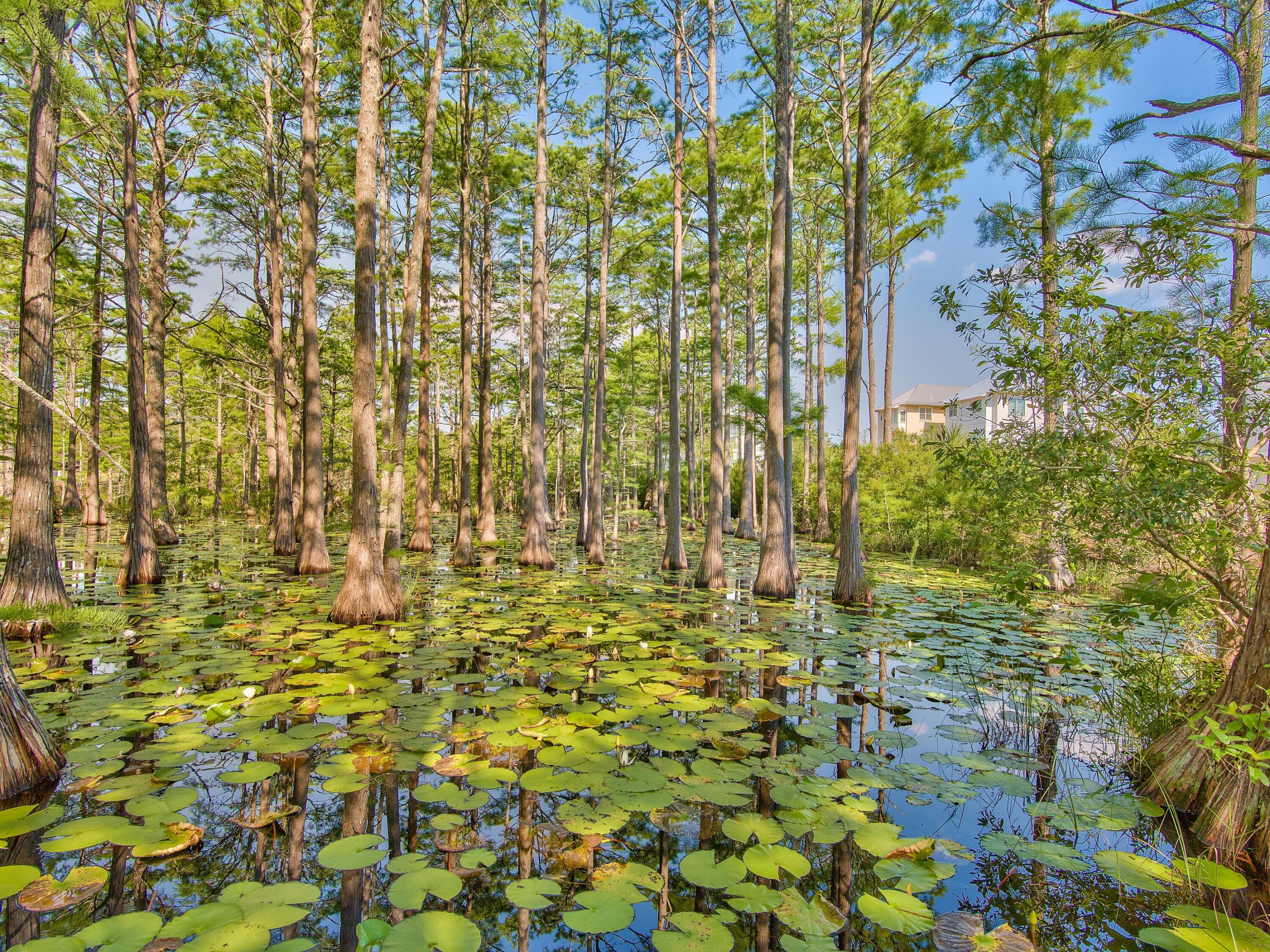 Lot 16 Cypress Drive Santa Rosa Beach FL 32459