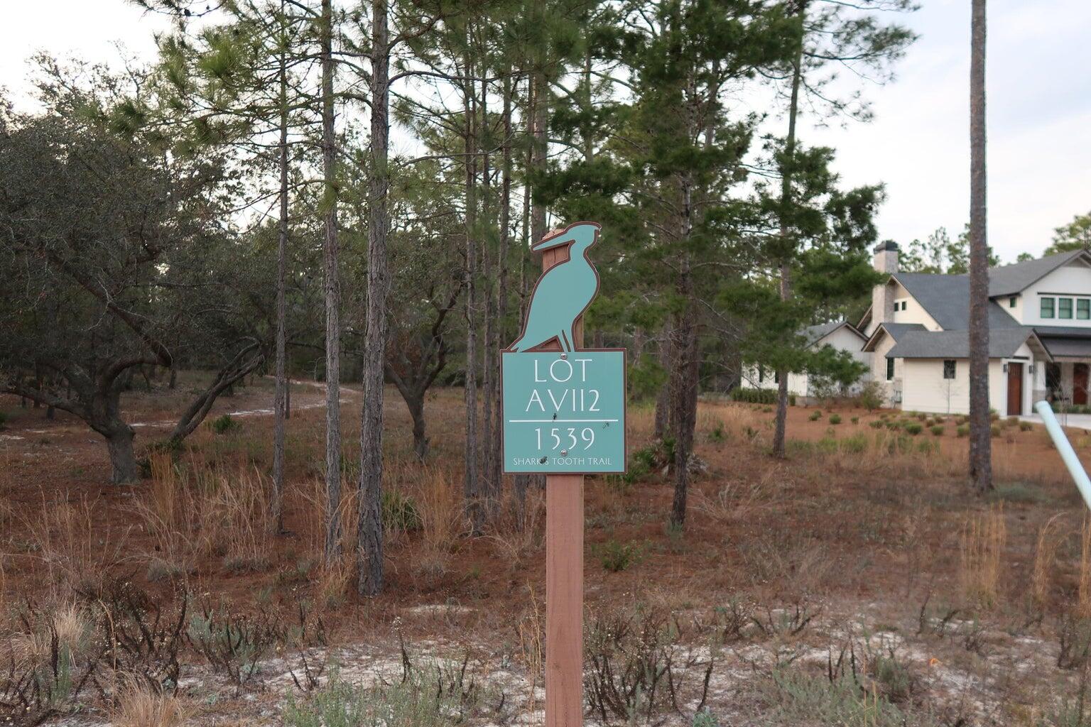 1539 Sharks Tooth Trail Panama City Beach FL 32413