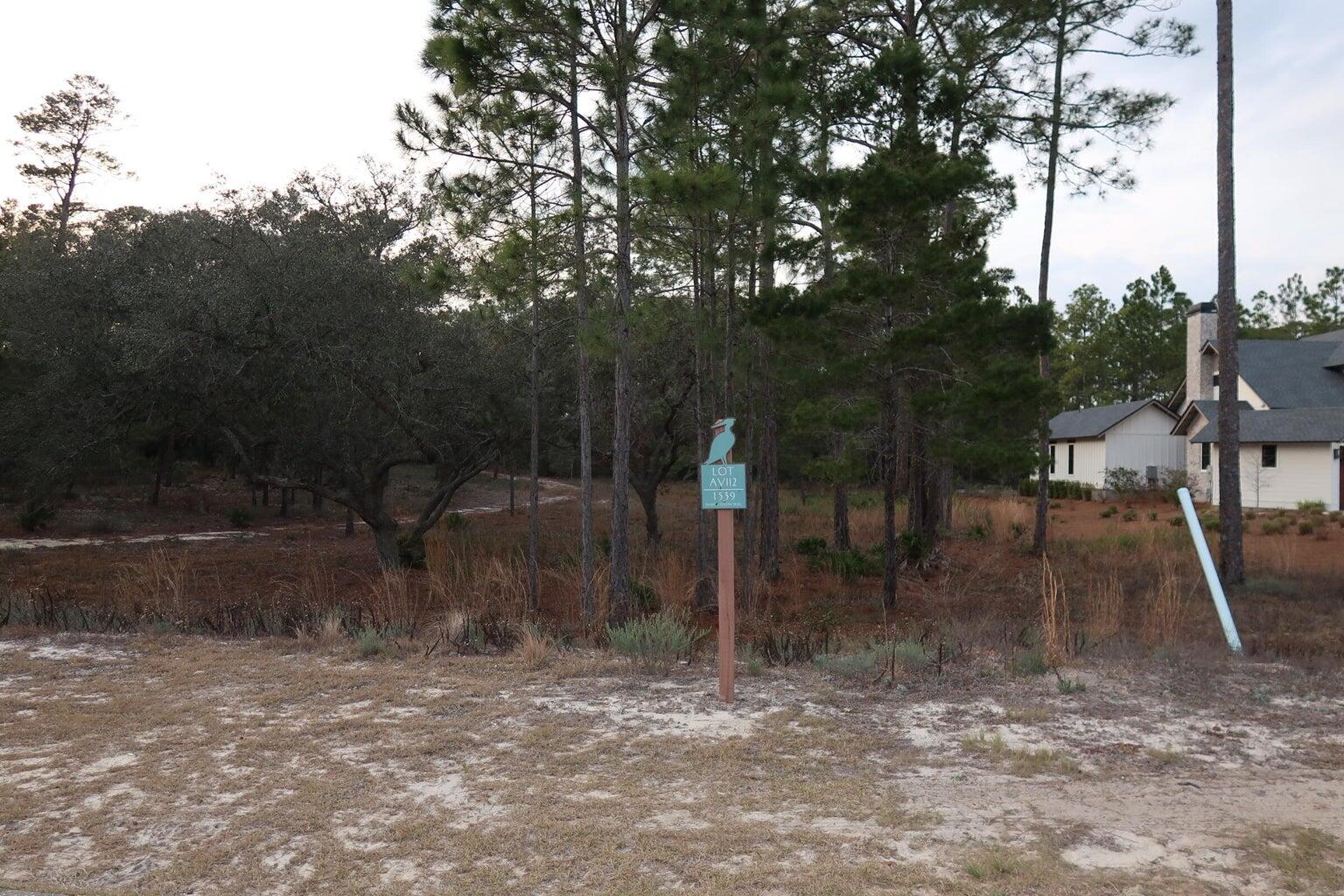 1539 Sharks Tooth Trail Panama City Beach FL 32413