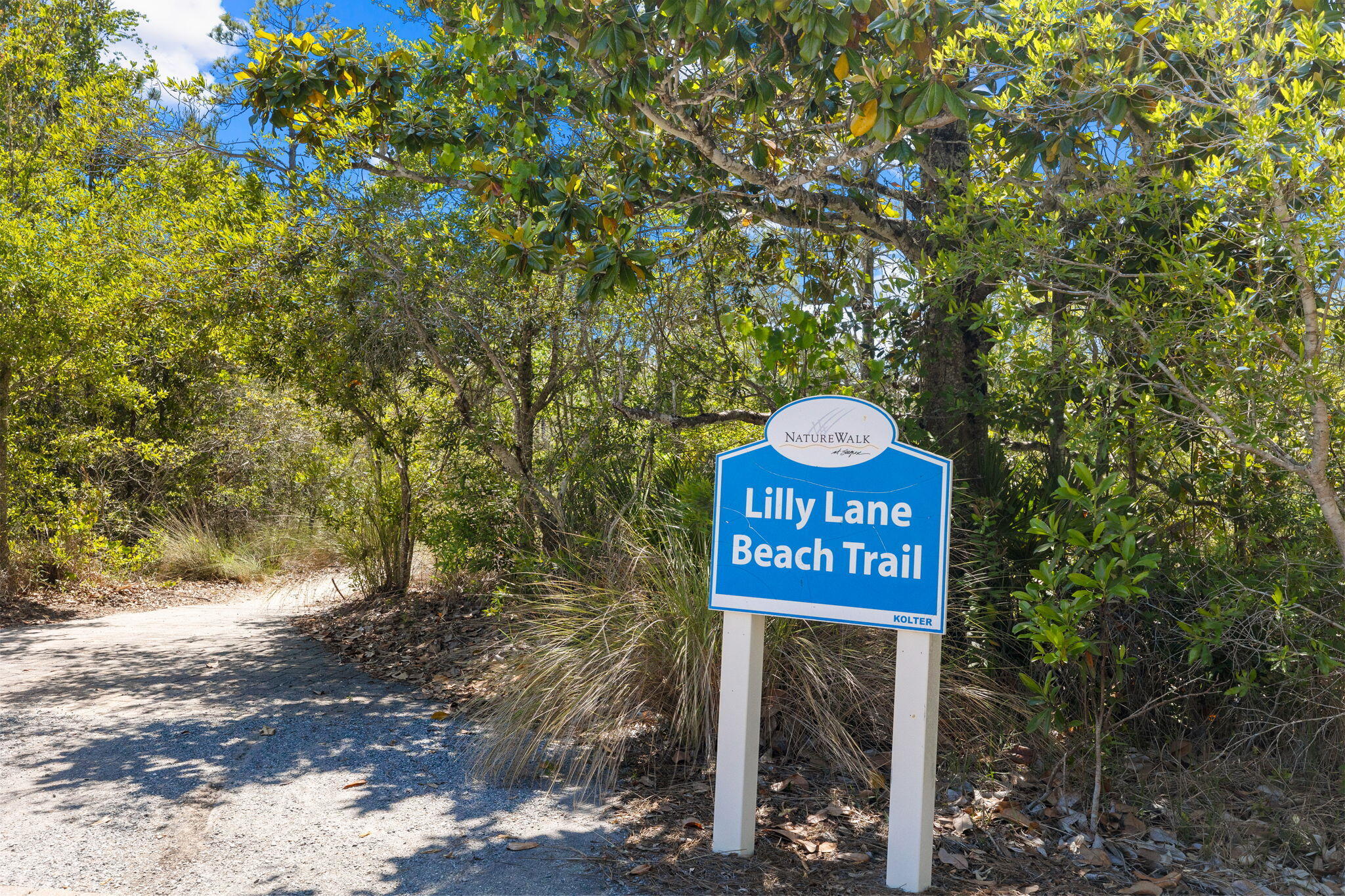 Tract L Naturewalk At Seagrove Santa Rosa Beach FL 32459