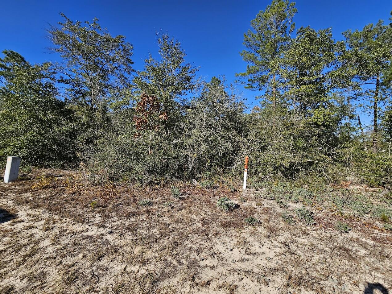 Xx 90 Defuniak Springs FL 32433