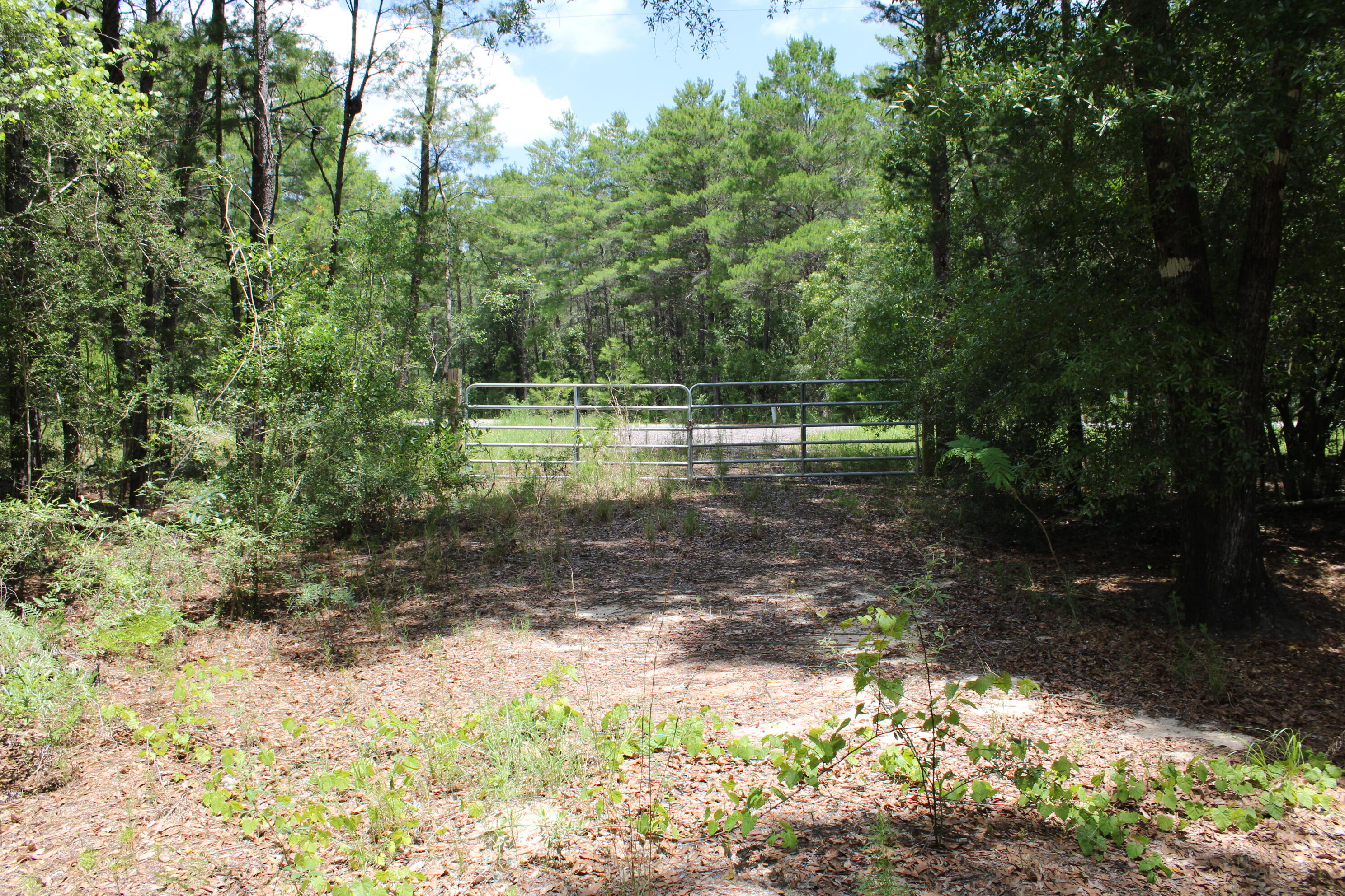 Lots 12/13 Elmwood Drive Defuniak Springs FL 32433