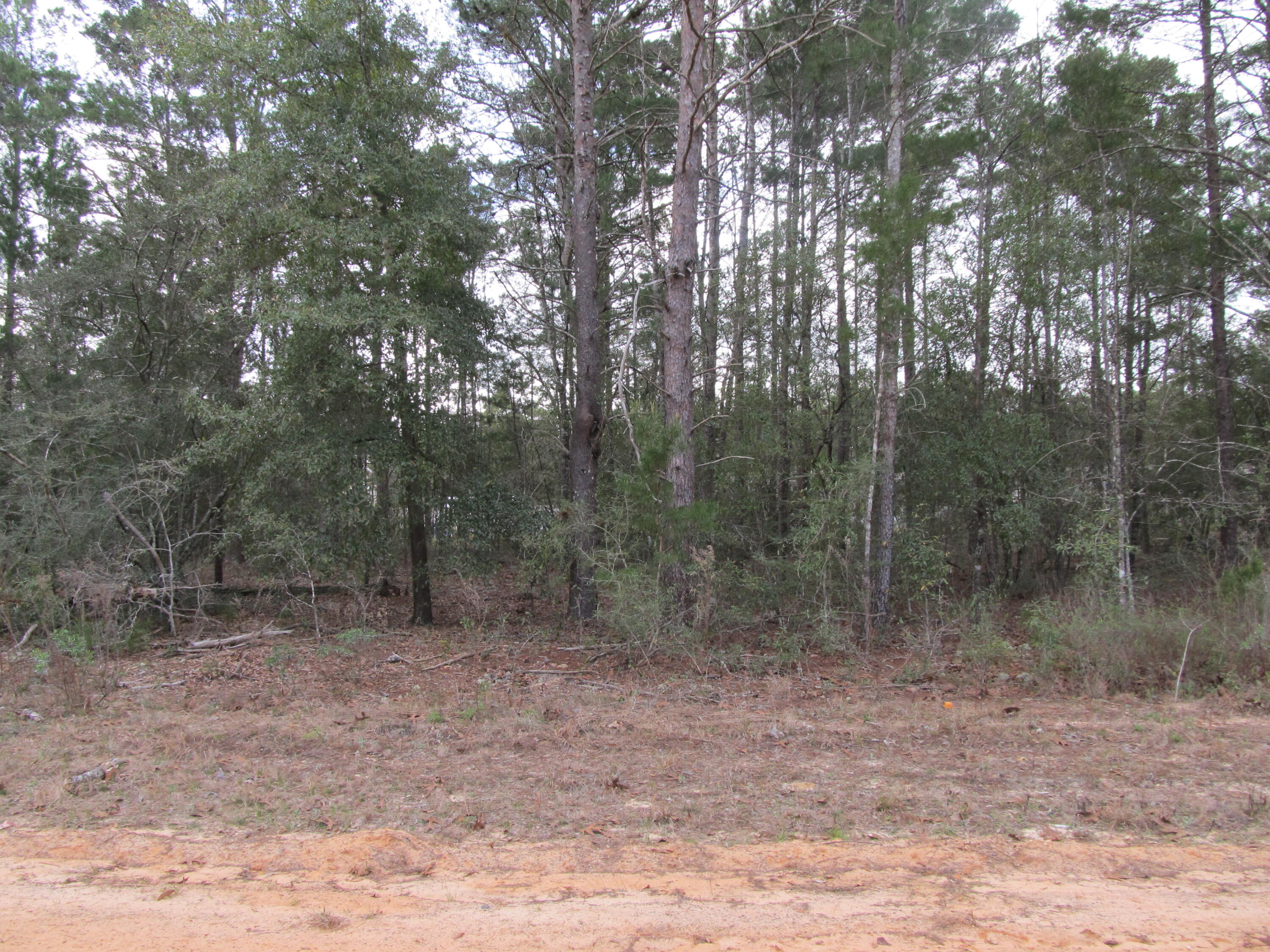 DeFuniak Springs FL, Lot 6 Jonquil West Avenue