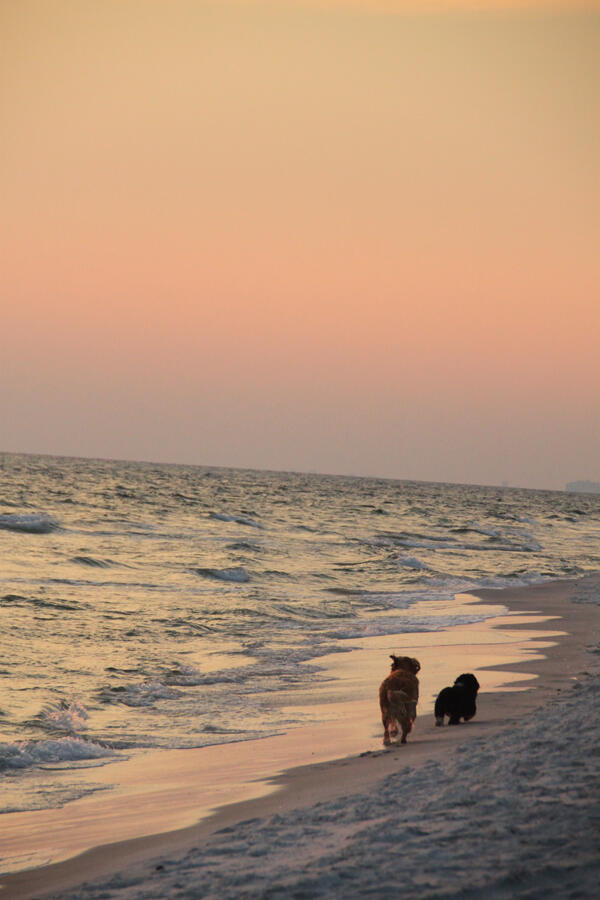 Lot 35 E Georgie Street Santa Rosa Beach FL 32459