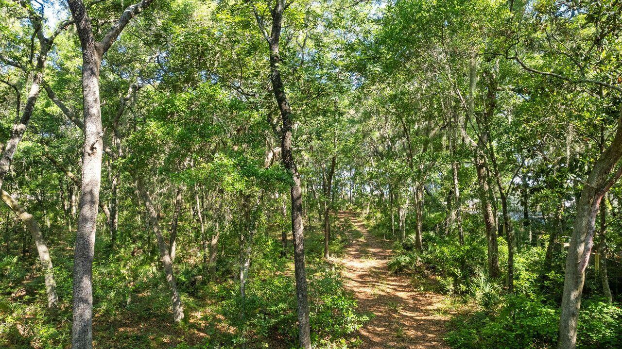 8 Ansley Forest Drive Santa Rosa Beach FL 32459