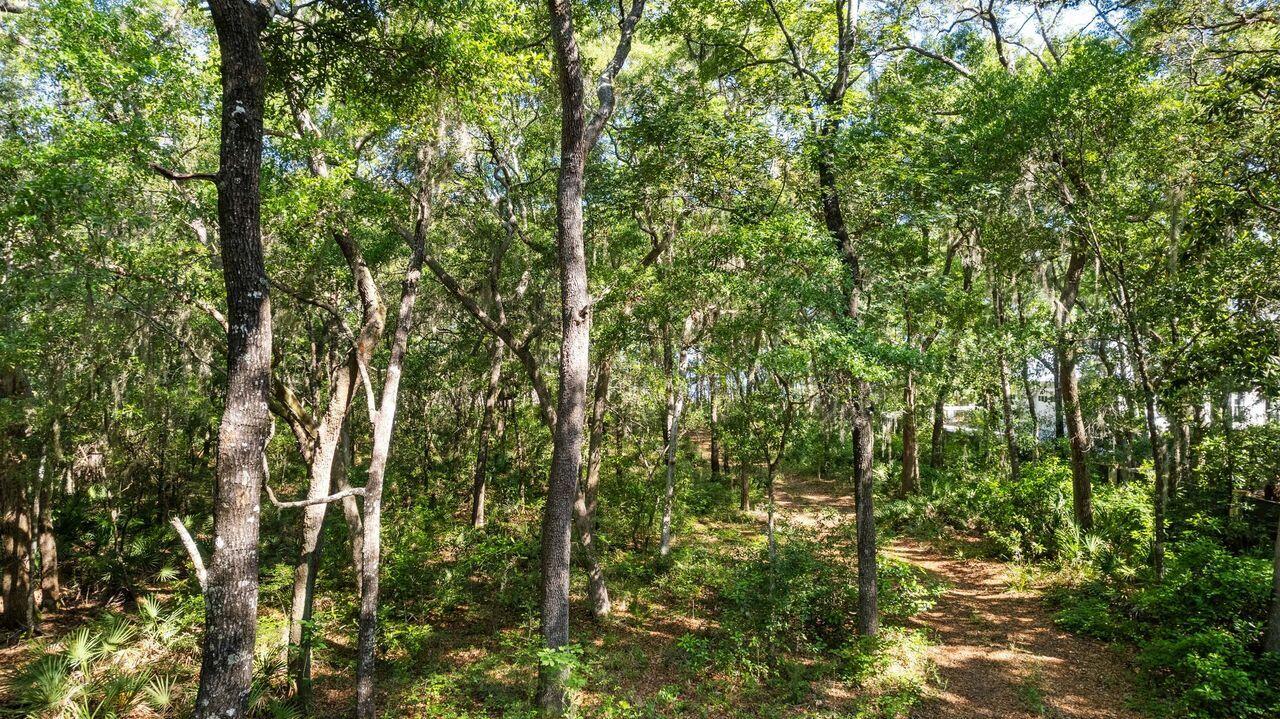8 Ansley Forest Drive Santa Rosa Beach FL 32459
