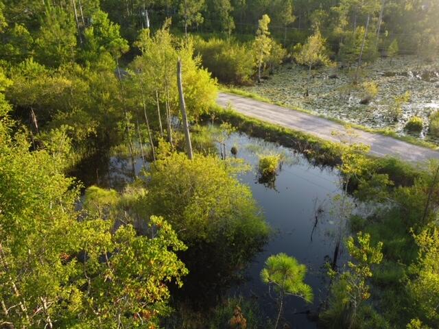 Lot 29 N Eden Park Drive Santa Rosa Beach FL 32459