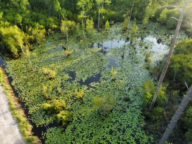 Lot 29 N Eden Park Drive Santa Rosa Beach FL 32459