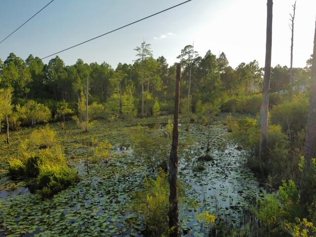 Lot 29 N Eden Park Drive Santa Rosa Beach FL 32459