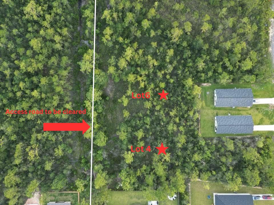 Lots 4 & 6 Avalon Beach Street Milton FL 32583