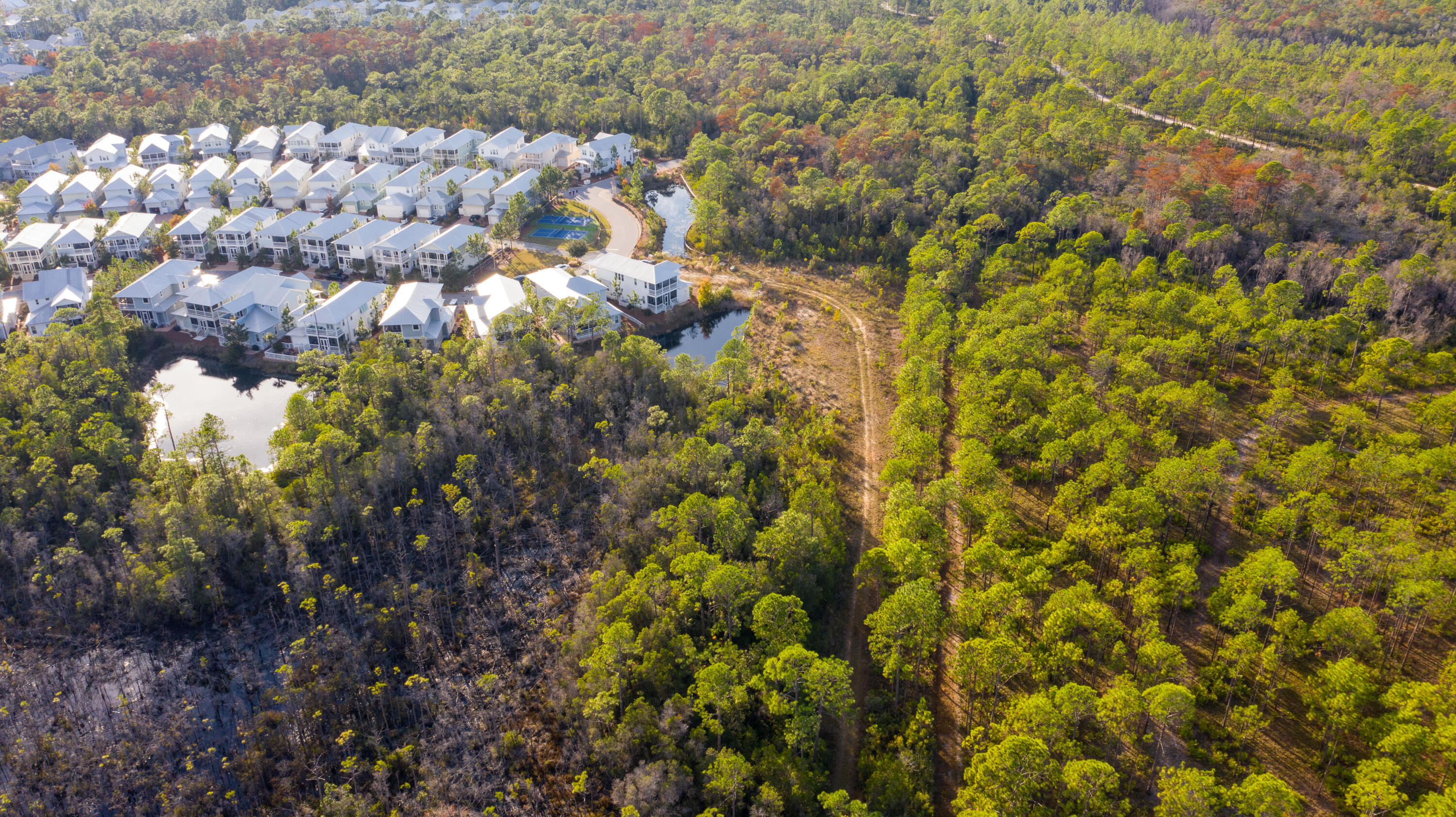 398 Flatwoods Forest Loop Santa Rosa Beach FL 32459