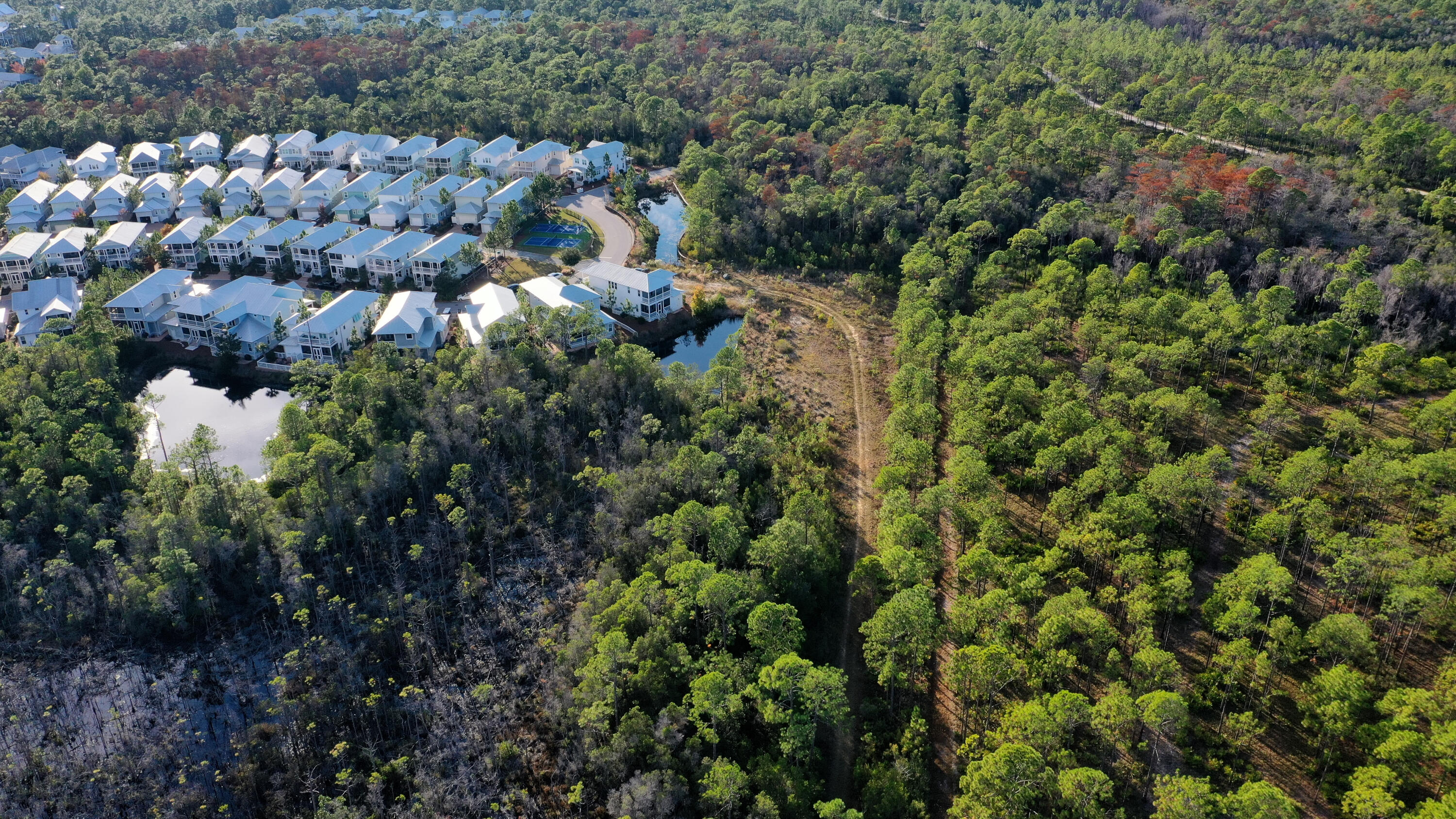 398 Flatwoods Forest Loop Santa Rosa Beach FL 32459
