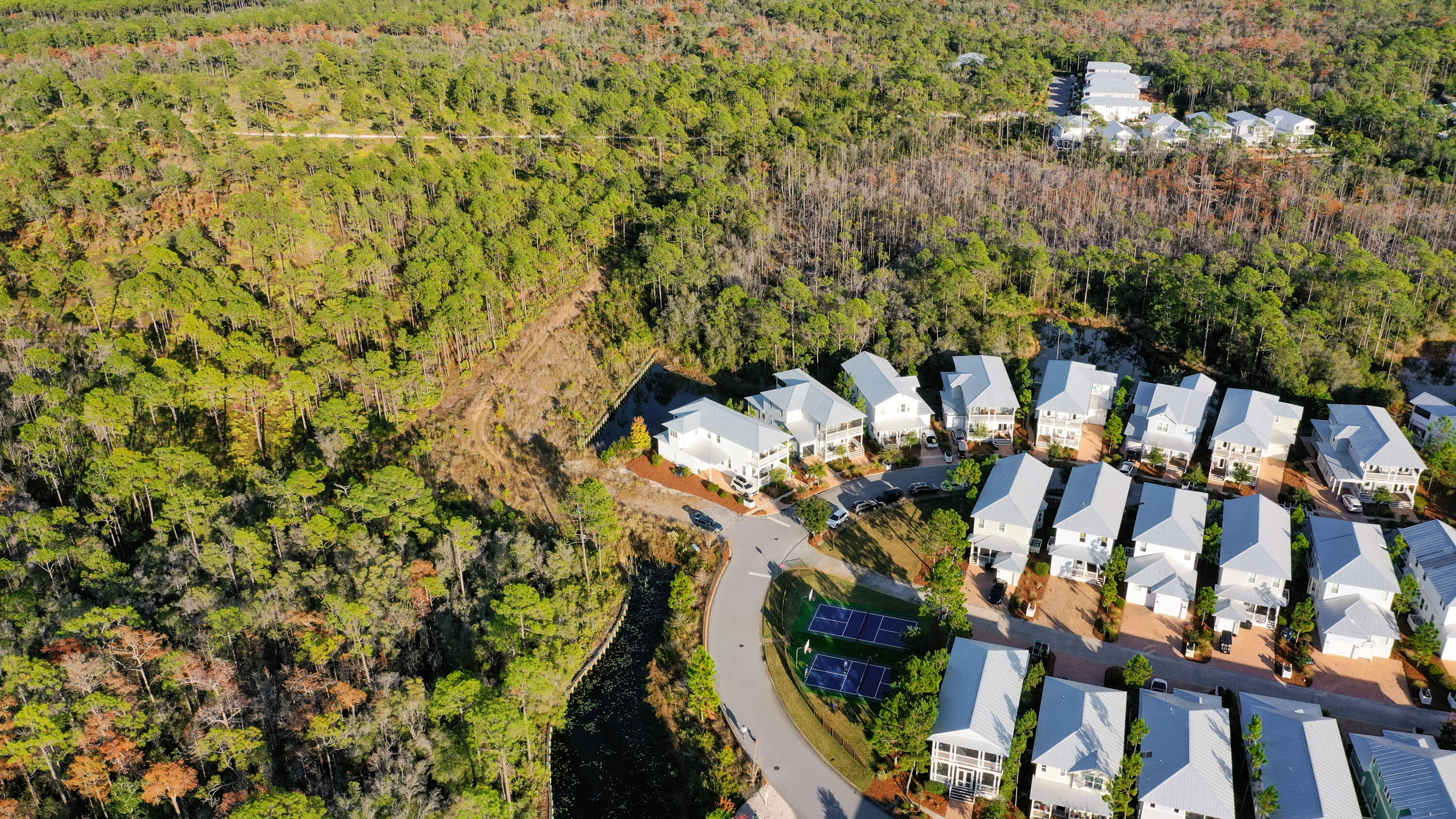 398 Flatwoods Forest Loop Santa Rosa Beach FL 32459