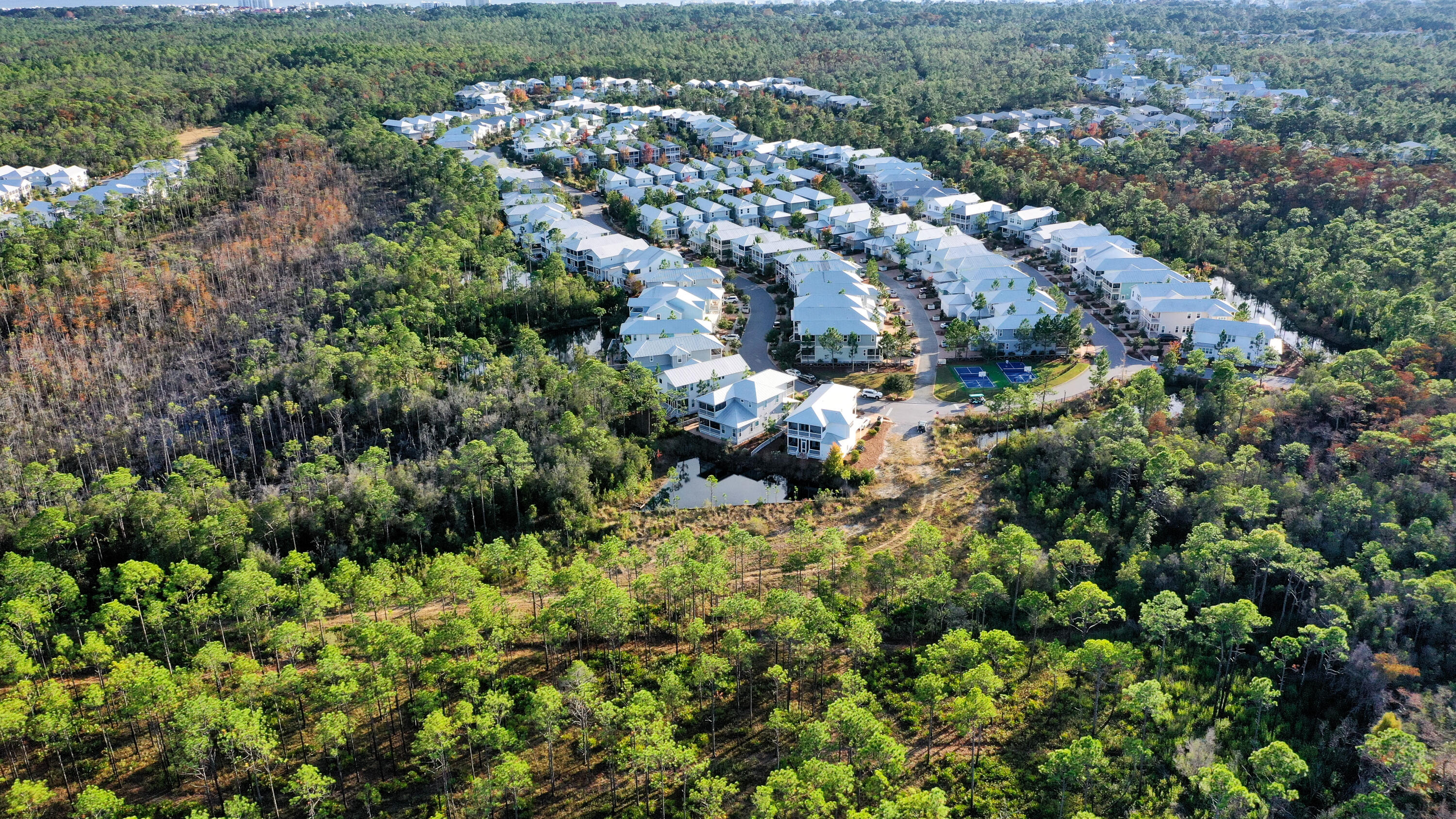 398 Flatwoods Forest Loop Santa Rosa Beach FL 32459