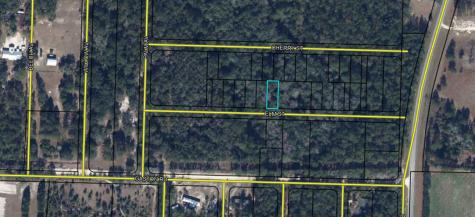 Lots 68/69 Elm Street Vernon FL 32462