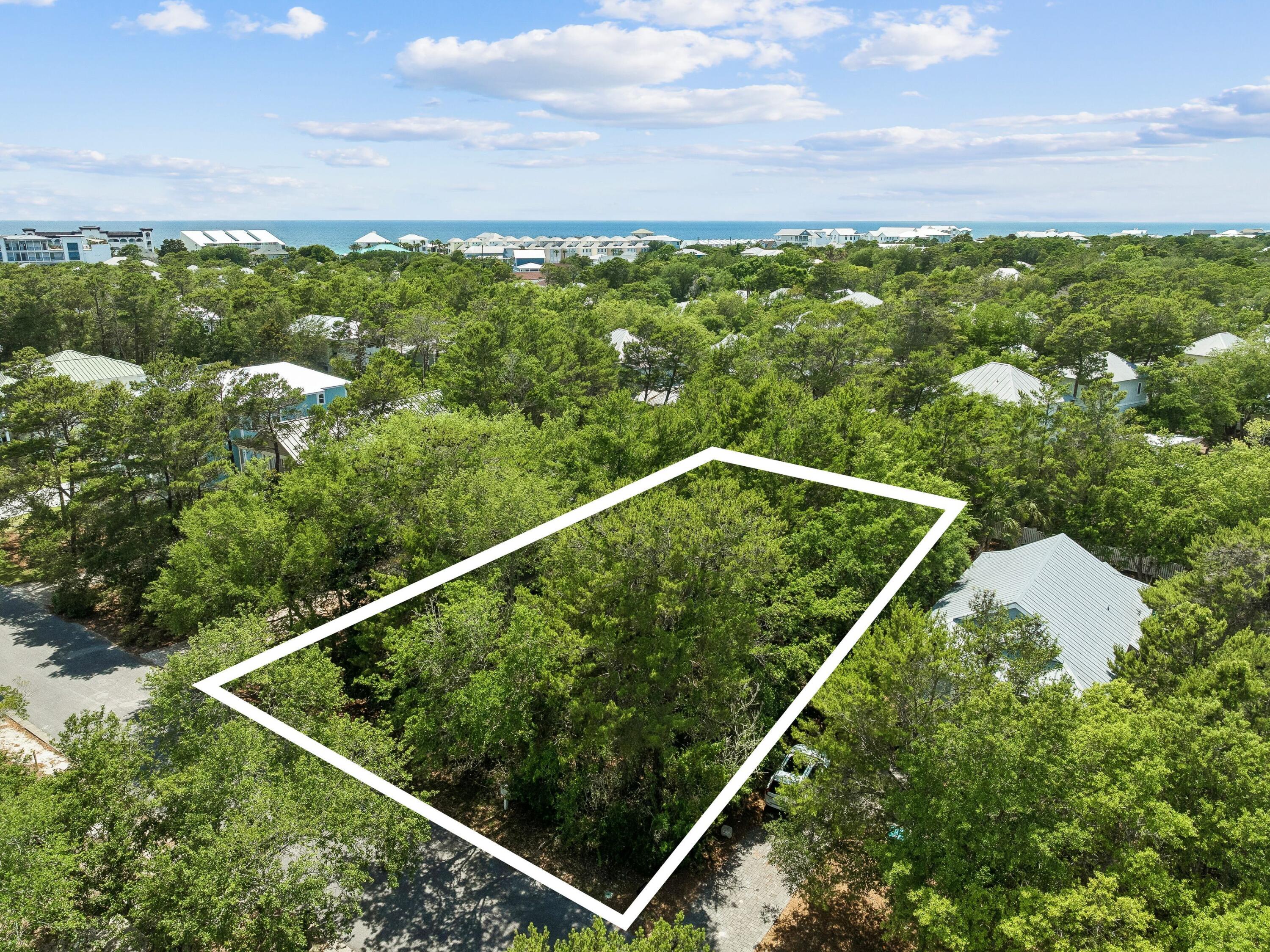 255 Clareon Drive Inlet Beach FL 32461