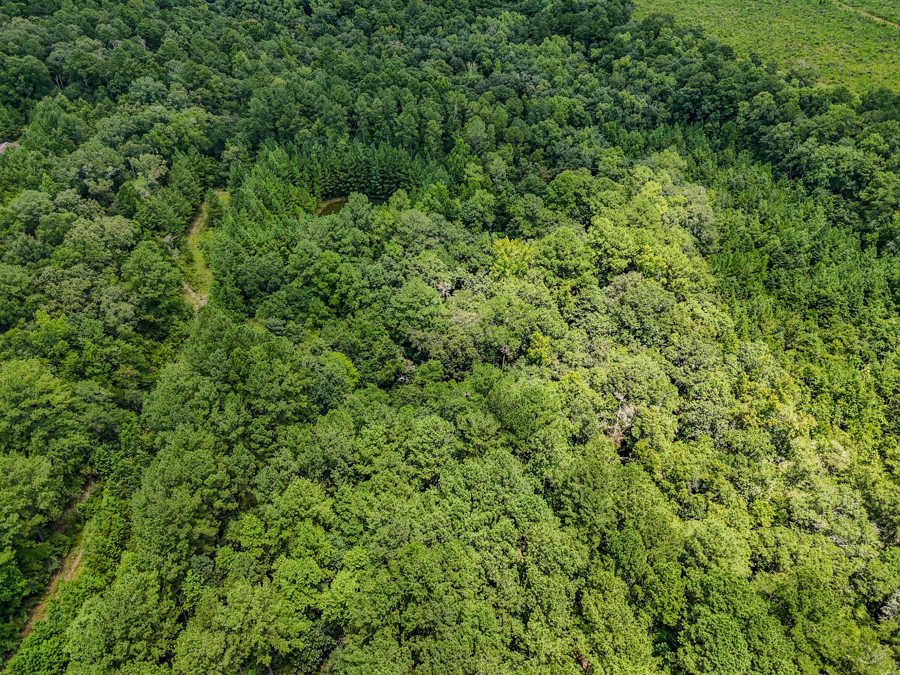 27.79 Acre County Highway 183b Defuniak Springs FL 32433