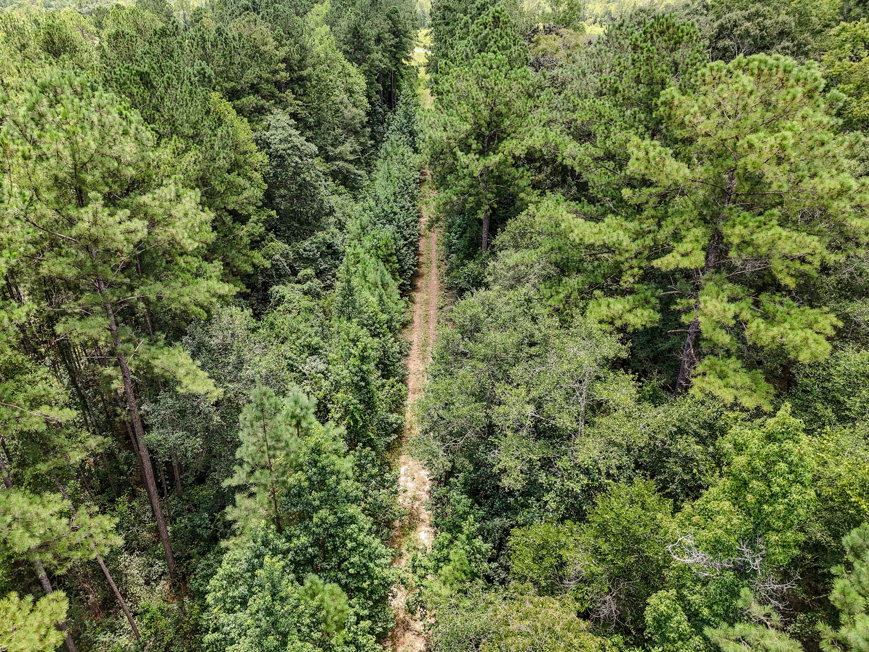 27.79 Acre County Highway 183b Defuniak Springs FL 32433
