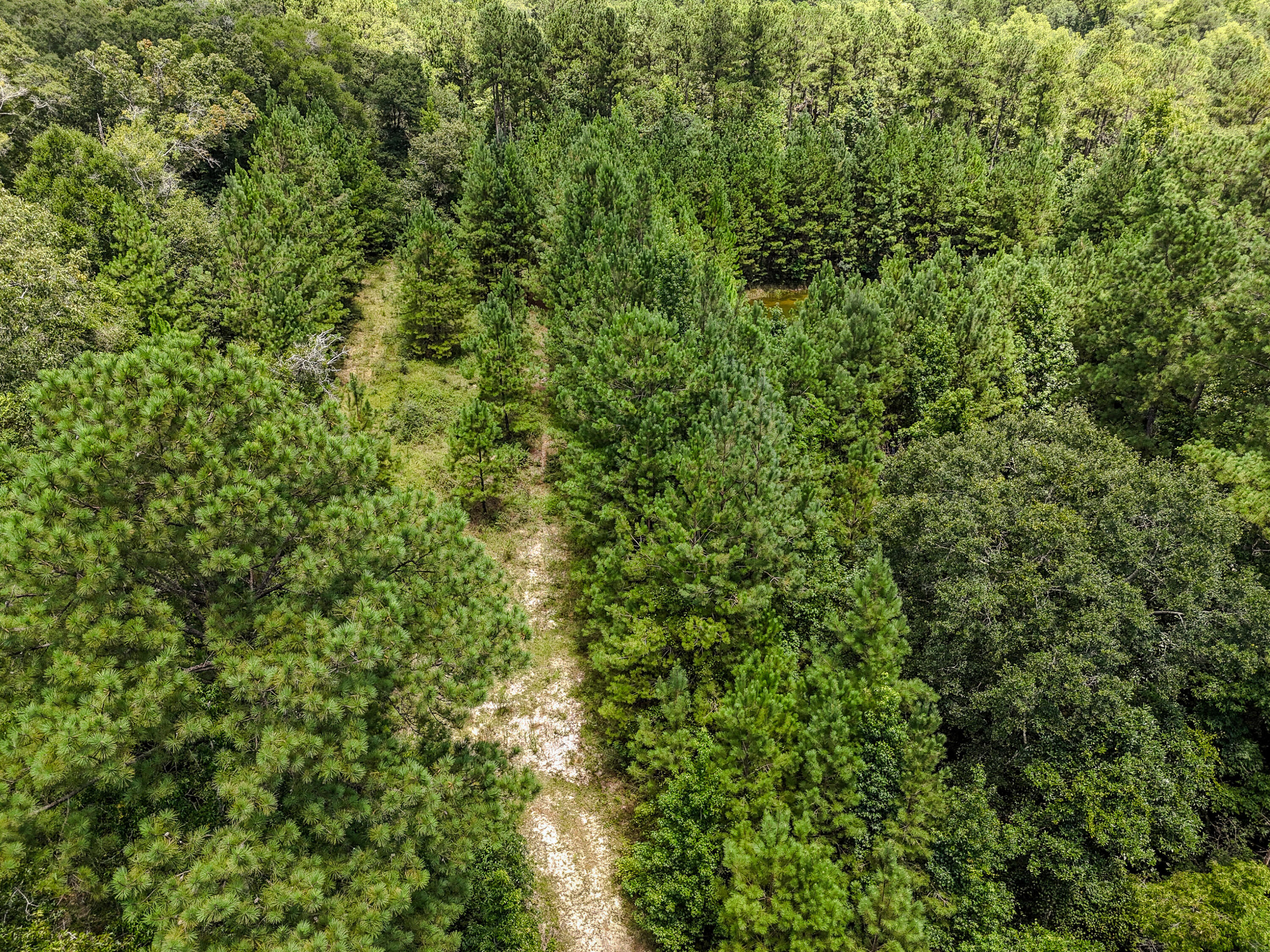 27.79 Acre County Highway 183b Defuniak Springs FL 32433